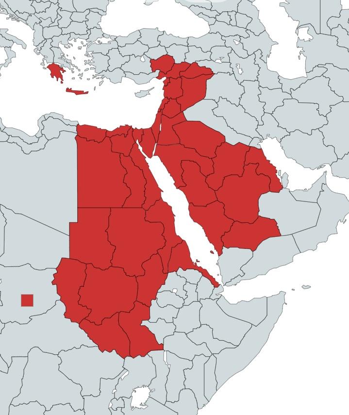 ahmdahshan's tweet photo. أحد أهم مشاكل مصر المزمنة أن السلطة السياسية كانت حريصة في كل عصورها المختلفة على ضرب أي تراكم للثروة، لأنه سيؤدي بالضرورة إلى ظهور مراكز قوى، وبالتالي إجبار السلطة على تغيير النظام ليصبح قائمًا على المشاركة لا الاحتكار المطلق.

على سبيل المثال، في العصر الذهبي الأزهى والأعظم لمصر منذ العام 525 ق.م، عصر الدولة الفاطمية (969–1171)، حين حوّل الخلفاء الفاطميون الحنفاء الأشراف الأجلاء مصر من دولة مستقلة مركزها مدينة الفسطاط (بعدما كانت القطائع في العصر الطولوني كما هو موضح في الخريطة باللون الأحمر)، إلى إمبراطورية عظمى مركزها المدينة الجديدة "القاهرة" تمتد من المحيط الأطلسي في أقصى الغرب إلى هضبة الأناضول في أقصى الشمال الشرقي، واكتسبت لأول مرة هويتها العربية والإسلامية ومركزية دورها في المنطقة بعد انقطاع دام أكثر من 1400 سنة (الخريطة أدناه باللون الأخضر).

هذا ما أدى إلى نشوء طبقة نخبوية مصرية من التجار وأصحاب رؤوس الأموال لأول مرة، وتحولت مصر إلى مركز تُصب فيه العائدات لا مجرد ولاية تنفق على المركز. وقد أدرك صلاح الدين الأيوبي هذا التحول، ولم يكن يحبه المصريون ولا يأمنهم على نفسه، حتى أنه أقام في الشام وطلب من وزيره قراقوش بناء قلعة محصنة لتكون "عاصمة إدارية جديدة" لحكمه، ليعود إلى مصر بعد اكتمال بنائها ويضمن أن يكون في مأمن من المصريين، إلا أنه توفي قبل أن يسكنها. وكان من مهام قراقوش أيضًا تفريغ النخب المصرية من كل ما لديها من ثروات.

ثم جاء عصر المماليك البحرية ثم البرجية، ورغم كل عيوبهم ومثالبهم، إلا أنهم حافظوا على الحدود الطبيعية لمصر التي أرستها الدولة الطولونية (868–905). وعادت معهم مراكز القوى ممثلة في "عرفاء" المهن أو "نقباء" بالمصطلح الحديث، وتراكمت الثروات وتشكلت مراكز قوى جديدة كان لها كلمتها في إدارة الشؤون الداخلية (الخريطة باللون الأصفر أدناه).

ولما جاء السلطان سليم الأول ياغوز، وفقدت مصر استقلاليتها وتحولت إلى إيالة مصر، أقر نظام الالتزام، فحُصرت كل الأراضي الزراعية في البلاد وأُممت لصالح السلطان، ومنحت بحق الالتزام لفترة زمنية محددة عبر مزايدات مالية. لكن، ونظرًا لبعد مصر عن إسطنبول، وكثرة التمردات فيها، وتحكم "شيوخ البلد" من المماليك في سلطتها الفعلية، حيث كانت توفر وحدها أكثر من 70% من موارد الدولة العثمانية العليا، بحسب الرحالة العثماني الشهير أوليا جلبي، فقد بات من اللازم على المماليك العثمانلية قبول مشاركة النخب.

وهكذا تراكمت الأموال من جديد، وتعززت مراكز القوى، حتى أن الإمام الحادي عشر، فضيلة الإمام الأكبر شيخ الجامع الأزهر أحمد العروسي (1778–1793)، ومعه نقيب الأشراف ونخبة التجار والمشايخ، أجبروا المماليك على توقيع وثيقة حقوق لتنظيم العلاقة بين المماليك ومراكز القوى والرعية، أشبه بـ "الماجنا كارتا". وربما لو لم تأتِ الحملة الفرنسية بقيادة نابليون بونابرت عام 1798، لترسخت تلك الوثيقة وشكلت دستورًا للعلاقة بين الطرفين.

وقد برزت قوة مراكز القوى في أن مصر كانت الولاية الوحيدة في كل ولايات الدولة العثمانية الـ22 التي حاصر أهلها القلعة وفيها الوالي العثماني، بقيادة مشايخ الأزهر ونقيب الأشراف السيد عمر مكرم، حامل البيرق النبوي. ورد على السلطان العثماني محمود الثاني، الذي دعاه ومن معه لطاعته كونه خليفة المسلمين، بقوله إن طاعة الله قطعية، وطاعة رسوله واجبة، أما أولي الأمر فطاعتهم مشروطة بطاعة الله ورسوله، وبما أنك لا تطيع الله ورسوله فينا فلا طاعة لك عندنا.

وأجبروا الخليفة على عزل واليه وتعيين محمد علي باشا، الذي شكّل اختياره لفتة ذكية بألا يتحدوا الخلافة عبر تعيين أحدهم، فيُعتبر ذلك خروجًا عن الدولة، وفي الوقت نفسه اختاروا شخصًا مجهولًا للعثمانيين، لا ولاء له حقيقي للسلطان.

ثم أجبروا محمد علي باشا على الالتزام بوثيقة حقوق وواجبات على غرار ما كان الوضع عليه زمن المماليك، سُميت آنذاك بـ"السياستنامة". وهنا أدرك محمد علي الخطر على سلطته، فنفى السيد عمر مكرم إلى دمياط عام 1809، وألغى سياسة الالتزام وحلّ محلها نظام "الاحتكار"، بحيث تكون الدولة ممثلة فيه شخصيًا هي المالكة والمحتكرة لكل شيء: الزراعة والتجارة والصناعة.

أسس محمد علي باشا الجيش لحماية ملكه وتعزيز استقلاله عن الدولة العثمانية، فكان الجيش المصري منذ نشأته الأولى أشبه بجيش أسس دولة، لا العكس، وهو بعد مهم لفهم العلاقات العسكرية-المدنية المصرية. فكل المنجزات الصناعية والزراعية والعلمية كانت في الأساس لخدمة الجيش، ثم اتجهت تدريجيًا لخدمة المجتمع المدني.

على سبيل المثال، زراعة القطن ومادة الفوة الحمراء لصباغة الطرابيش، ثم مصانع الغزل والنسيج، كان غرضها الأساسي تصنيع ملابس عسكرية للجيش، دون الحاجة للاستيراد حتى لا يشعر العثمانيون بأن محمد علي يصنع جيشه الخاص. أسس الكلية الحربية في أسوان لتكون بعيدة عن أعين العثمانيين، وكانت المصانع لخدمة الجيش، حتى أول مستشفى حديث "القصر العيني" كانت لحماية العسكريين من الأمراض، وأول دفعة أطباء ومهندسين أُرسلت لفرنسا كانت لخدمة العمل العسكري، والمطبعة كانت للمنشورات العسكرية.

وهكذا، كل أدوات الدولة الحديثة صُمّمت لأجل الجيش. وبعد معاهدة لندن 1840، نتيجة توسع محمد علي الكبير، استخدم أدوات الدولة القومية الحديثة لتفريغ مراكز القوى من قوتها، واحتكار كل شيء لصالحه (خريطة دولة محمد علي باشا في أقصى أتساعها باللون الأحمر أدناه).

وعندما أراد الخديوي إسماعيل أن يروّج لنفسه في أوروبا كمصلحٍ صاحب دستور عصري ومجلس شورى نواب منتخب، وزع الملكية على فئة محدودة من المصريين لتشكيل نخبة تدين له بالولاء. ولم تتشكل هذه النخبة بناءً على جهودها الذاتية، فنتج عن ذلك وضع غير منطقي، وأنانية من هذه النخب، مما وفّر البيئة المناسبة لضباط يوليو وسياسات التأميم، التي لاقت تأييدًا شعبيًا.

وبعدما جرى نوع من الانفتاح في الفترة من (2000–2005)، فشل مبارك في توسيع المشاركة الشعبية ودفع الإصلاحات الاقتصادية بما يتناسب مع توسع الطبقة الوسطى، فتراكم الغضب حتى انفجر في 2011. وبعدما جاءت حركة 30 يونيو المباركة، درست بشكل جاد أسباب "تمرد" 2011، التي بدت غير مبررة وفق تصورها الضيق نظرًا لكون المصريين في بحبوحة مقارنة بكل عصورهم السابقة، فخلصت إلى أن الخطر يكمن في الطبقة الوسطى التي حرّكت جموع المصريين "الطيبين".

فكان الحل: تفريغ هذه الطبقة من مكتسباتها، وإجبارها على الهجرة، أو انتظار دورها للانضمام إلى جيوش الفقراء، أو الخضوع المطلق والمشاركة في مهزلة تتجلى فصولها في مشاهد حديثي النعمة القادمين من القاع للقمة بلا موهبة أو جهد حقيقي، دون تراكم للثروة، أو فتح للسوق، أو تمكين المصريين من الثراء بالطرق المشروعة.

وفي ظل غياب طبقة يمكن تسميتها بـ"Old Money" في مصر، بل وجود مجموعة من الجُرابيع الذين استبدلوا التوكتوك بـ"لامبورغيني"، ستظل المعاناة، ويسود القبح، وتتحول مصر إلى "هند الشرق الأوسط"، لكن بلا نووي، ولا قوة إقليمية، ولا نهضة علمية، ولا مكانة دولية؛ شعب فقير، ودولة يقودها حفنة من الأغنياء، ونفس الكلمة... مع استبدال النون بالباء!