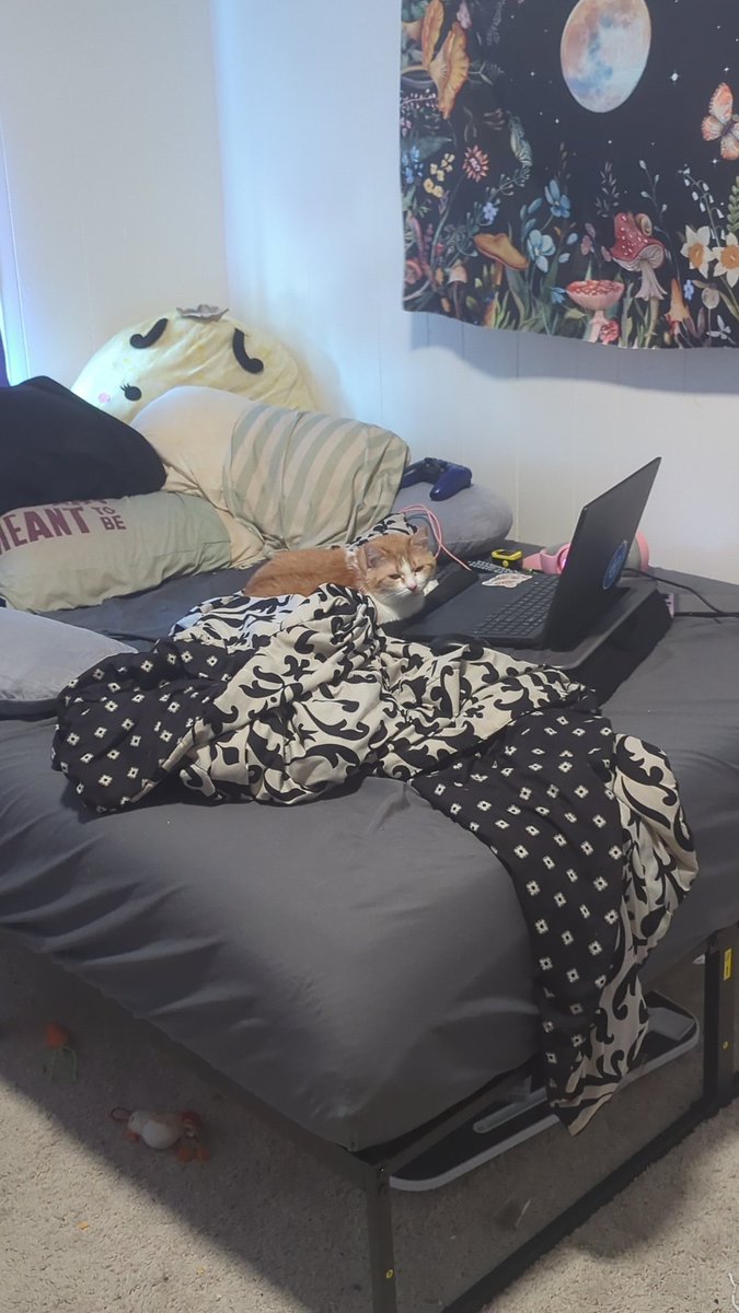 oopsie poopsies tweet media