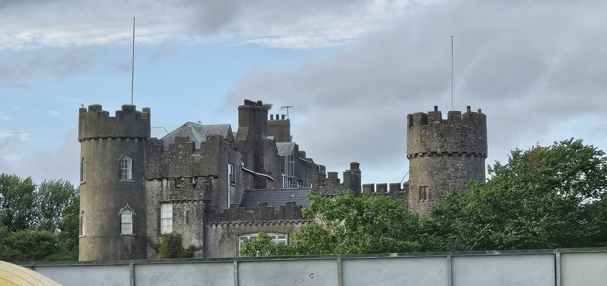 EvelDick tweet media