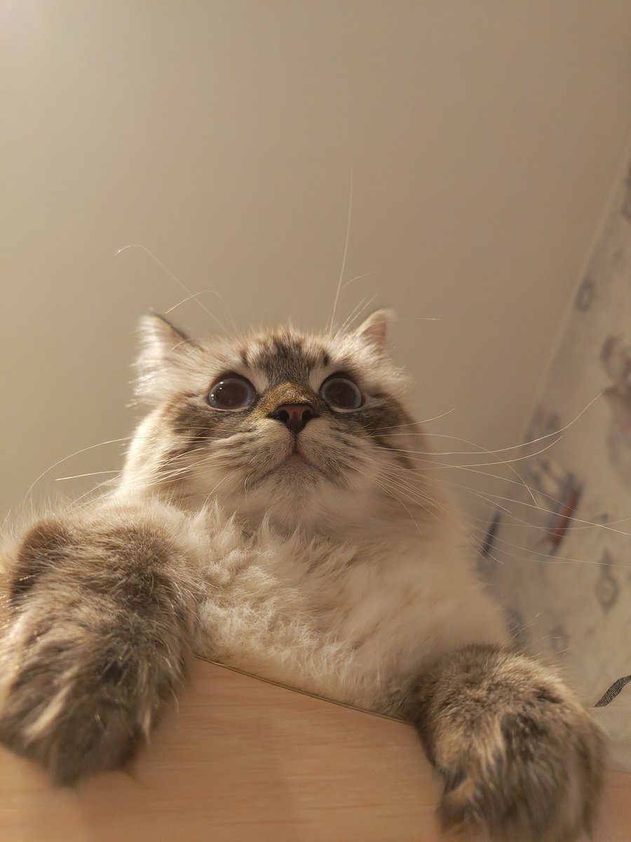 Чета увидела 👁️👄👁️