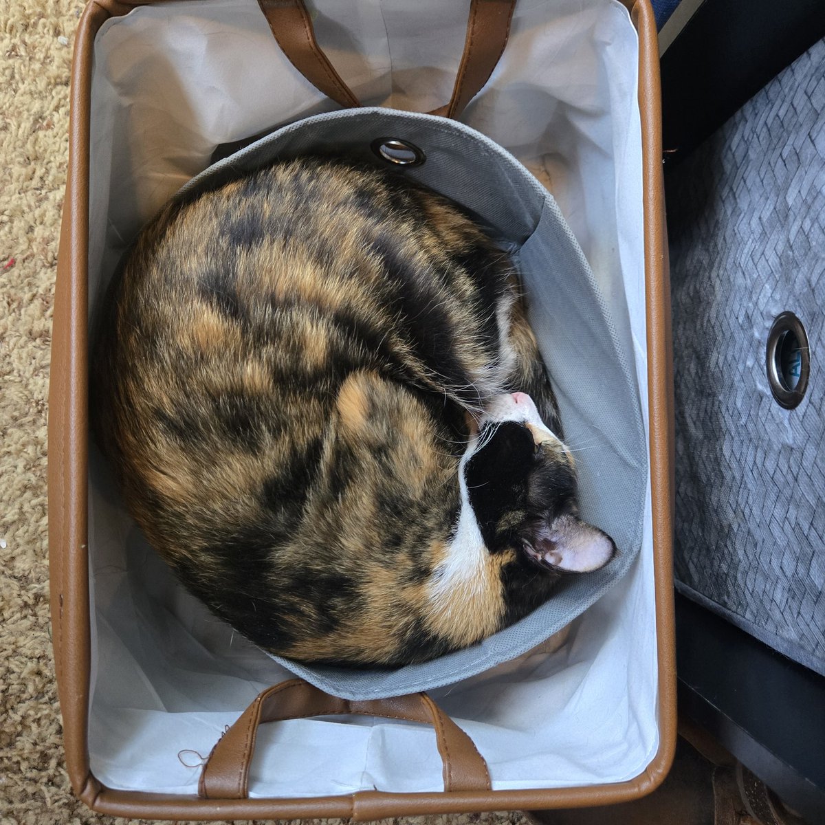 She's a two bin girl.