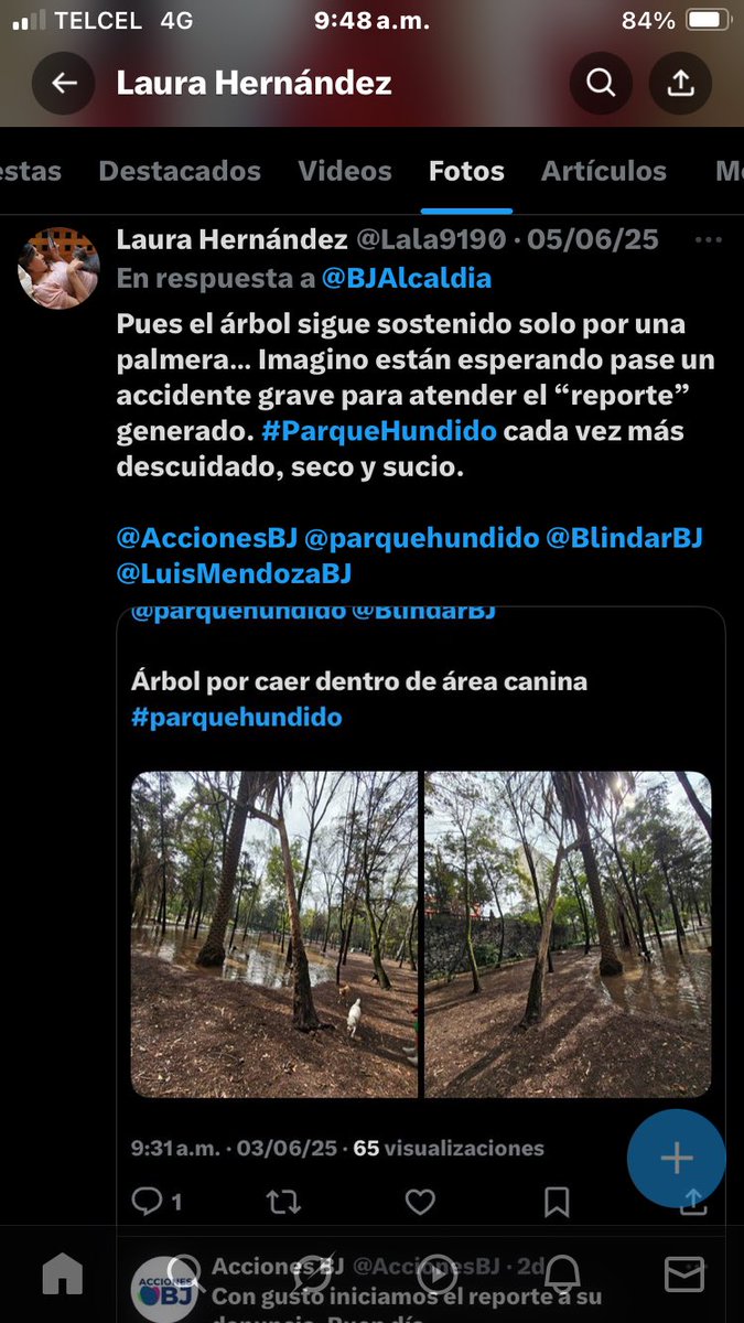 Laura Hernández tweet media