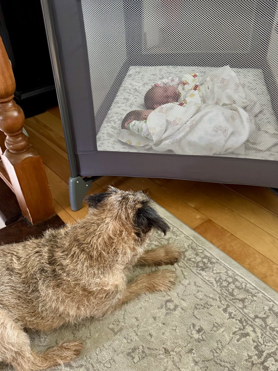 Um, why are they in baby jail? 🤔🤷‍♂️ #twinsies #hoopups