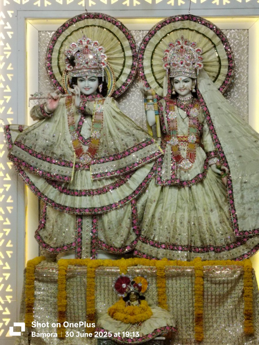 लाखों सहारे छूट चलें, श्याम ही अंतिम आधार
जय-जय रुद्राक्ष धाम प्रभु, जीवन का उद्धार
मनमोहन की दिव्य छवि, आनंद सिंधु समाय
शांतिमयी, मधुमय छटा, चित्त पथिक बन जाय
पावन धाम निरूपम ऐसा, मोक्षद्वार प्रतीत
सागर-बामोरा पर श्रीधाम सम, रुद्राक्षधाम विशेष
– प्रिंस