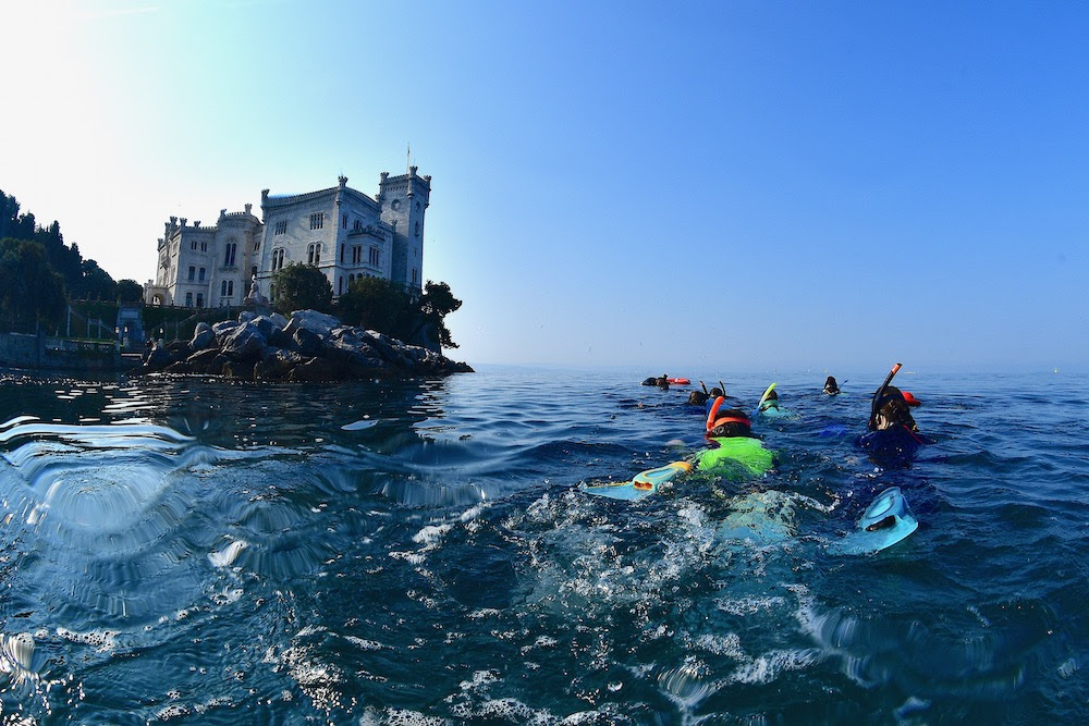 Fino al 14 settembre sono in programma i sea watching nella Riserva <a href="/AMPMIRAMARE/">AMP MIRAMARE</a>: prenota la tua escursione sottomarina 🤿 discover-trieste.it/organizza/espe…