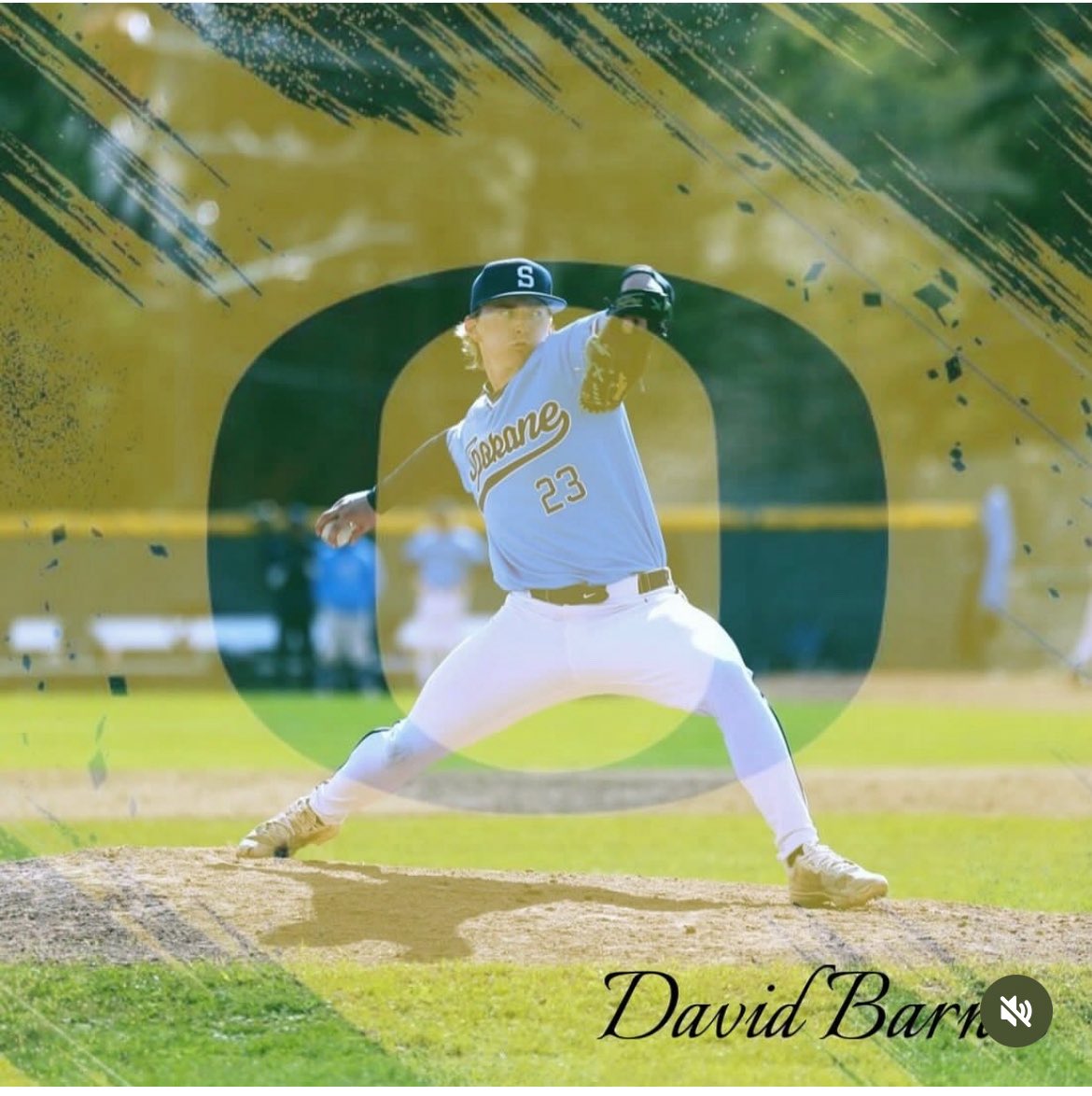 Mitchell Darlington tweet media