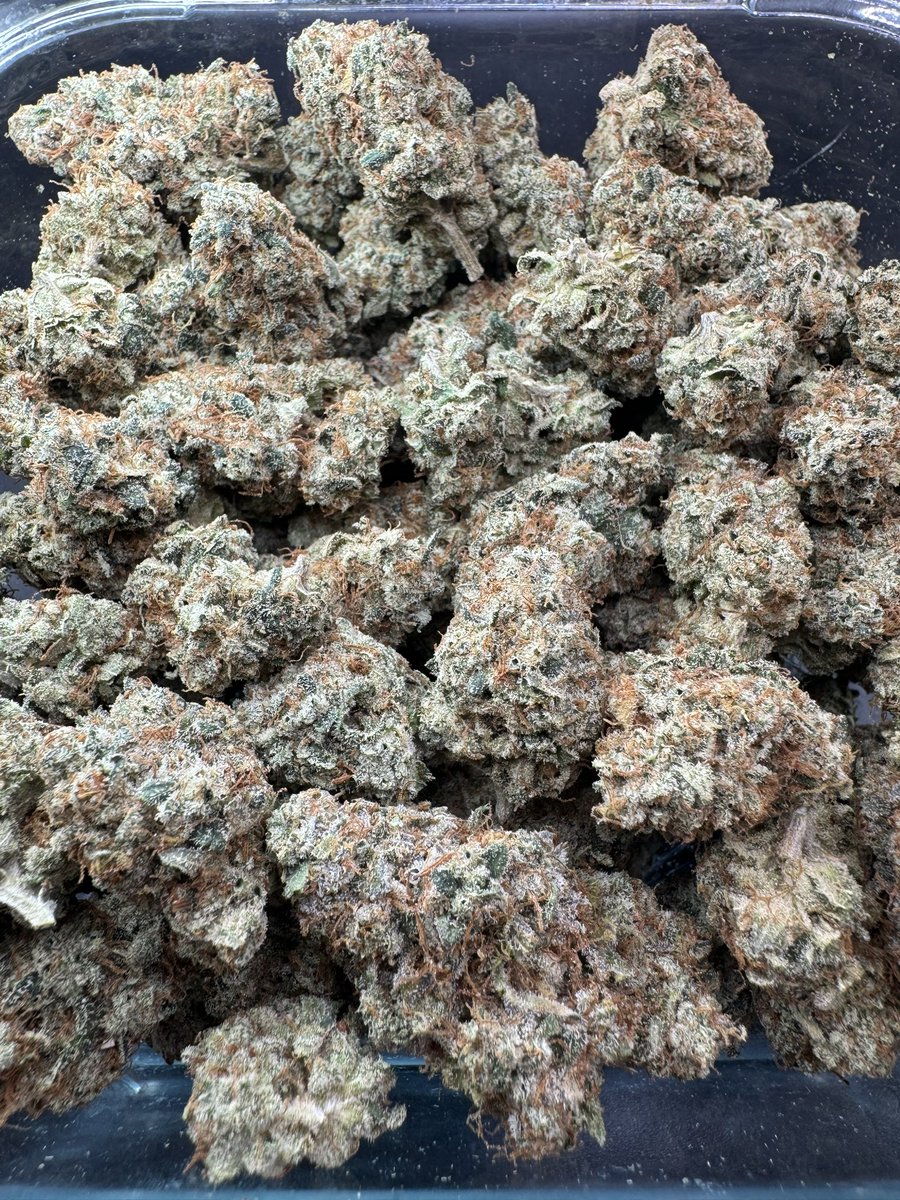 SelvaClube's tweet photo. 🤤🤤🤤 #weed #CannabisCommunity #flowers #selvaclube #cannabisculture #socialclube https://t.co/fafWvB0Shm