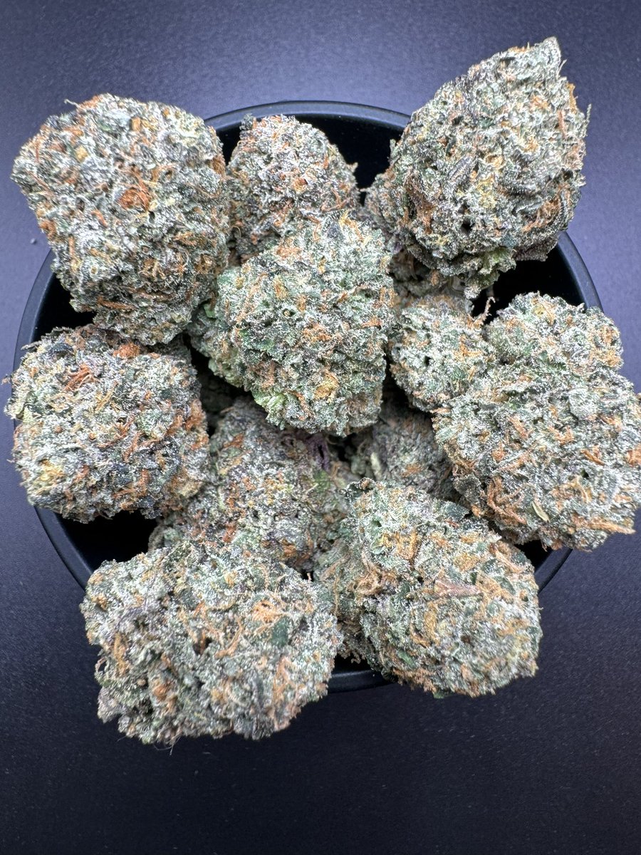 SelvaClube's tweet photo. 🤤🤤🤤 #weed #CannabisCommunity #flowers #selvaclube #cannabisculture #socialclube https://t.co/fafWvB0Shm