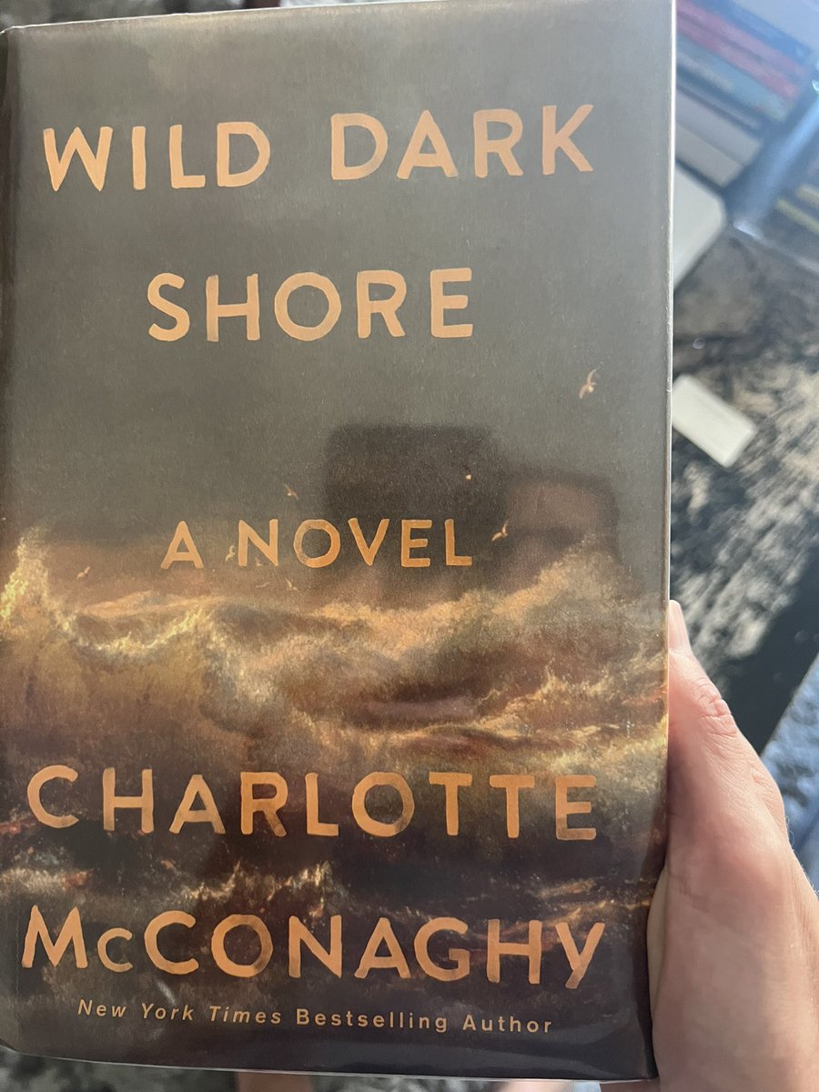 Highly recommend this wonderful novel