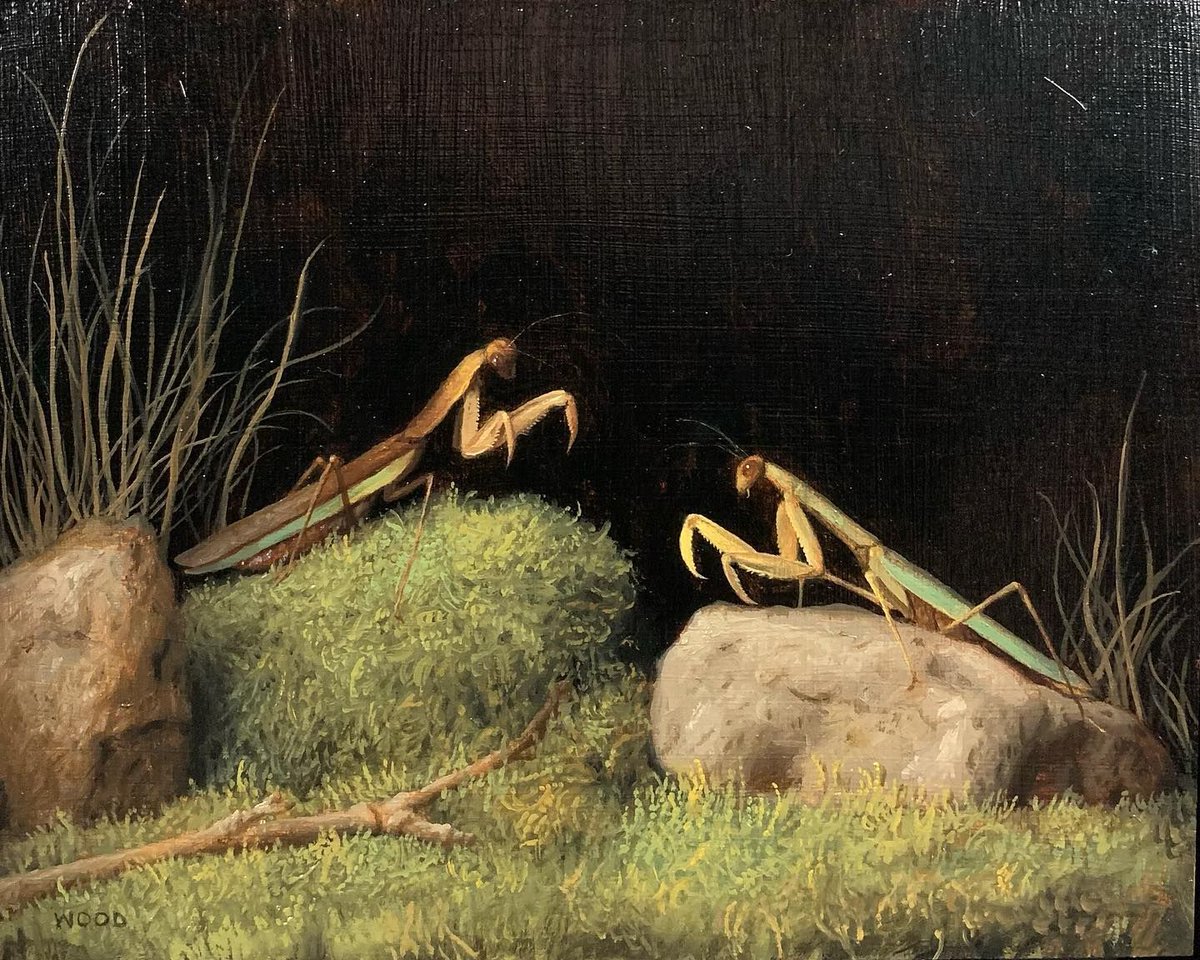 archaeologyart's tweet photo. Justin Wood, Mantises, oil on panel, 2022. https://t.co/Ncy6IiTjUf