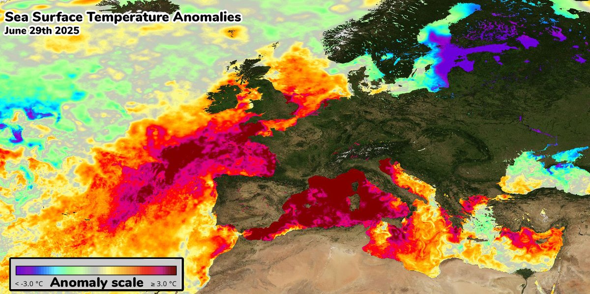 We're in the "Don't Look Up" era. 

Climate change is accelerating faster than expected, the science is clear and yet denial is thriving. Worse still, parties like Reform UK spread deliberate misinformation to gain votes. 

Sea surface temperatures are 8 standard deviations above