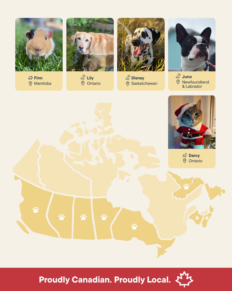 Pet Valu tweet media