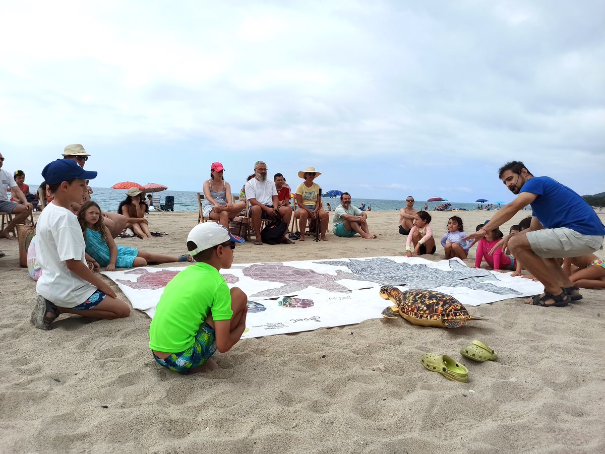 🐢🌊 El dimecres 9 de juliol, veniu a descobrir com protegir les tortugues marines amb aquest taller gratuït i educatiu que tindrà lloc al Centre Blau de la Platja de l’Arenal de l’Hospitalet de l’Infant.

📍 Inscripció prèvia necessària!

👉 hospitalet-valldellors.cat