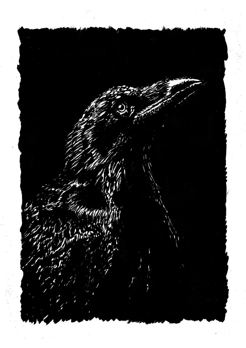 Encounter XXII. Ink on paper. 24x33 cm. #illustration #illustrationart #art #birds #darkfantasy #blackandwhite