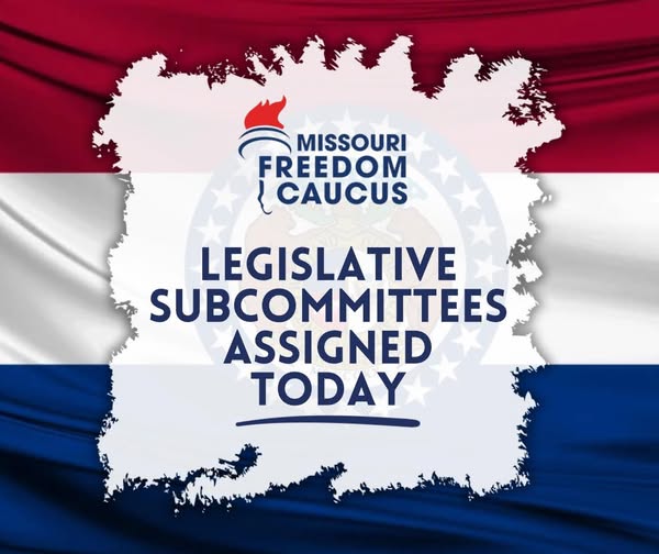 The session is over but our work continues. We are excited to announce our subcommittees that will focus on specific issues, hold events to discuss these issues, and formulate legislation to address them with YOUR help! A govt by the people, for the people. This is the way!