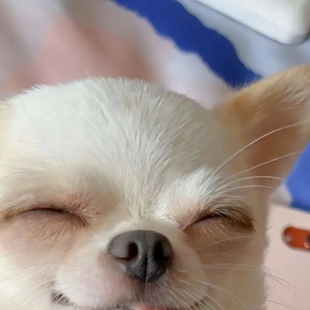 twaniimals's tweet photo. https://t.co/gFuVK85cVI