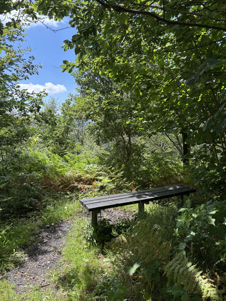 theowenstaton's tweet image. You know somewhere where the air just feels wrong?
Ever been someplace where the spirit of place just sends a shiver down your spine ?
My latest article for Substack talks about just this .
Have a read and please subscribe
open.substack.com/pub/owenstaton…