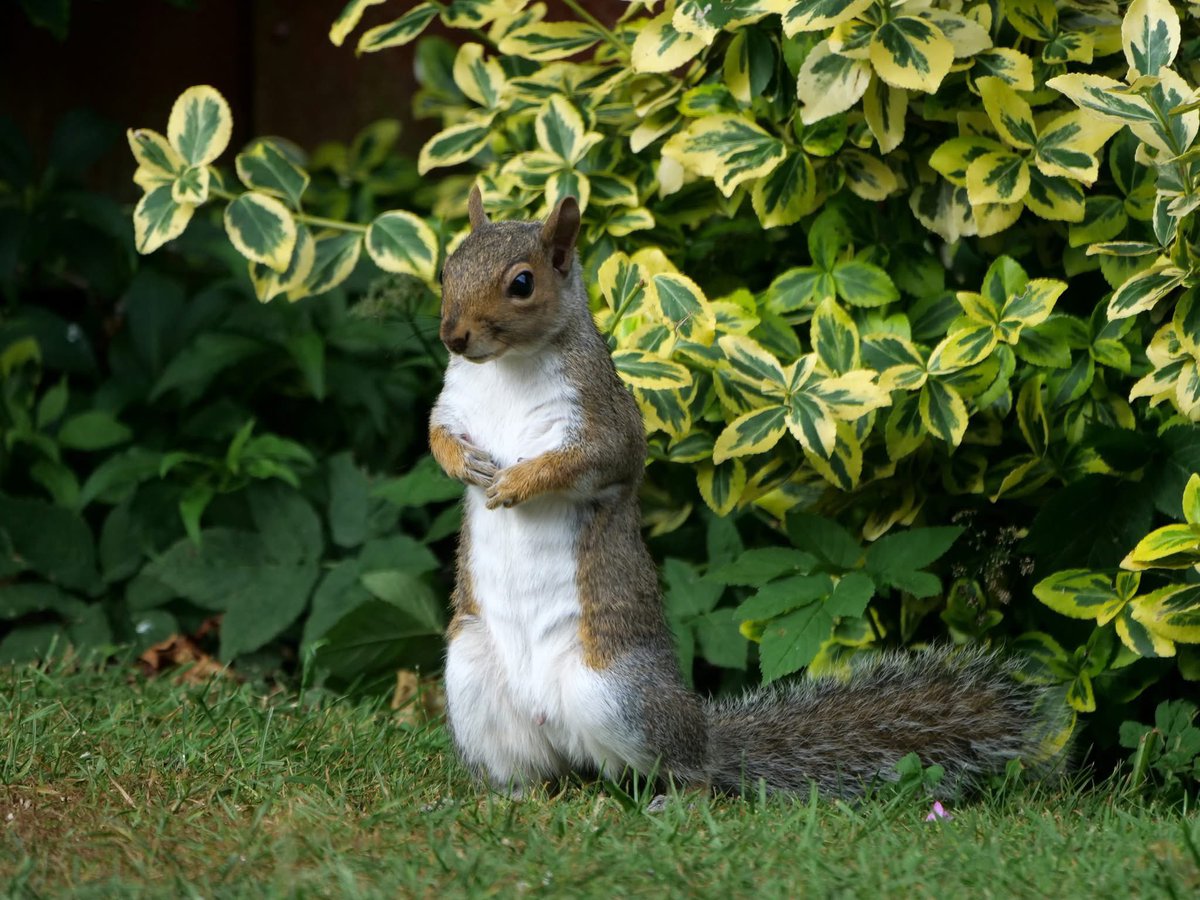 Derek Hollis tweet media