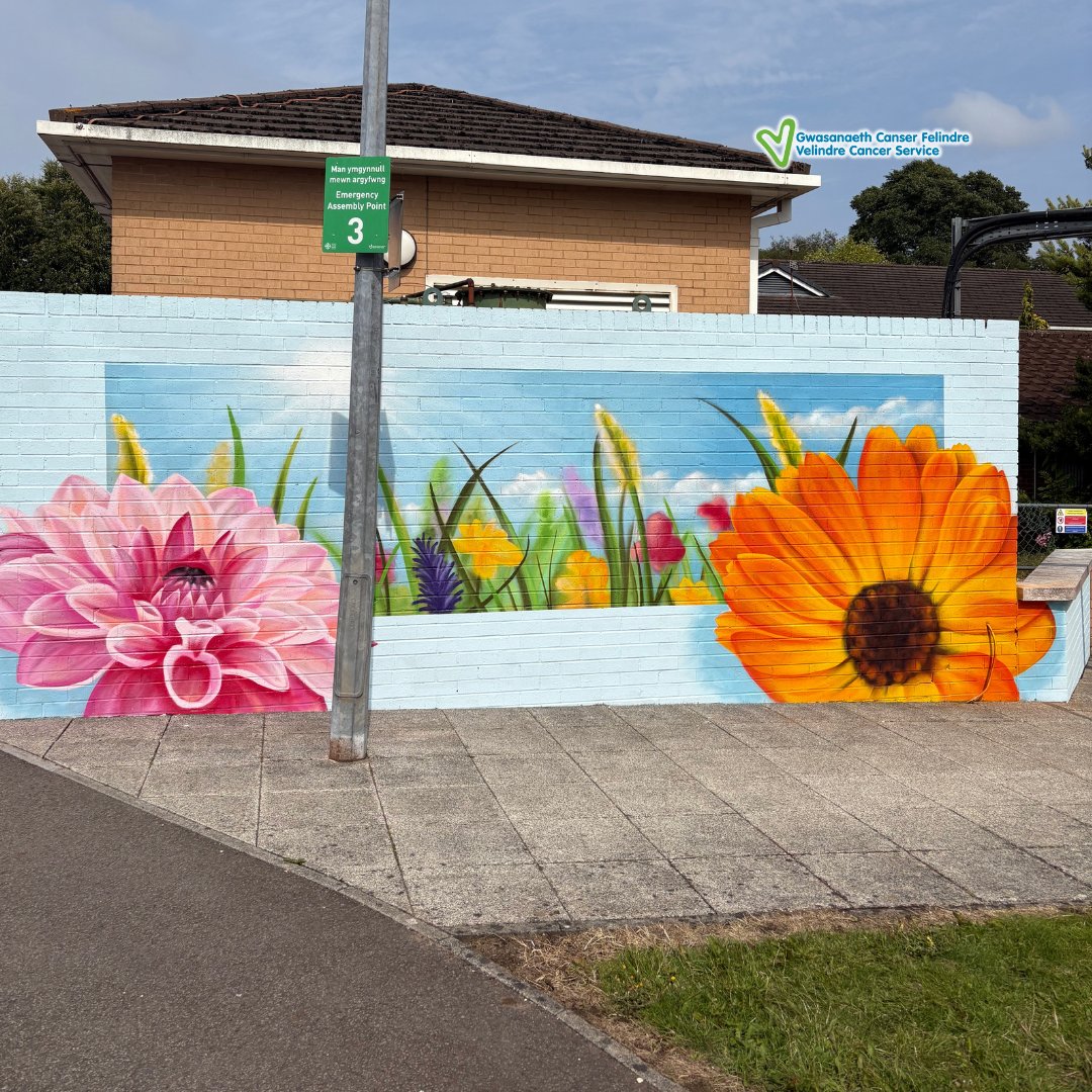VelindreCS's tweet image. 🎨 As part of @velindre&apos;s Arts in Health programme, this mural was painted by the incredibly talented Phil Cheater to signpost patients and visitors to our garden area. 

We hope this pop of colour can brighten your day 🌷

Read more about the Mural: 🔗 velindre.nhs.wales/news/latest-ne…