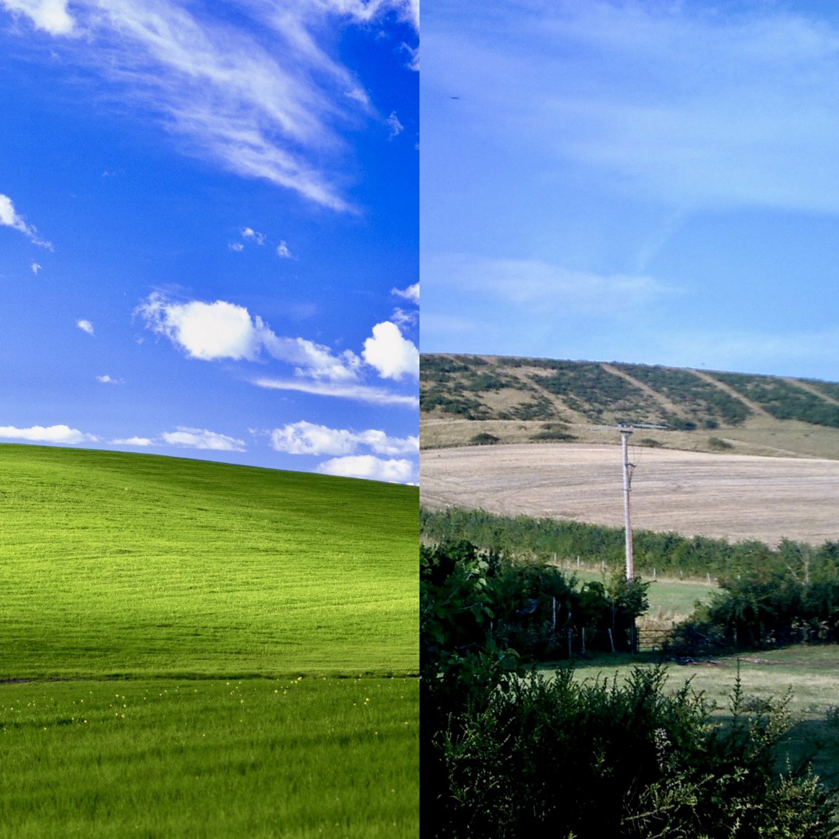 Sam 1997 tweet media