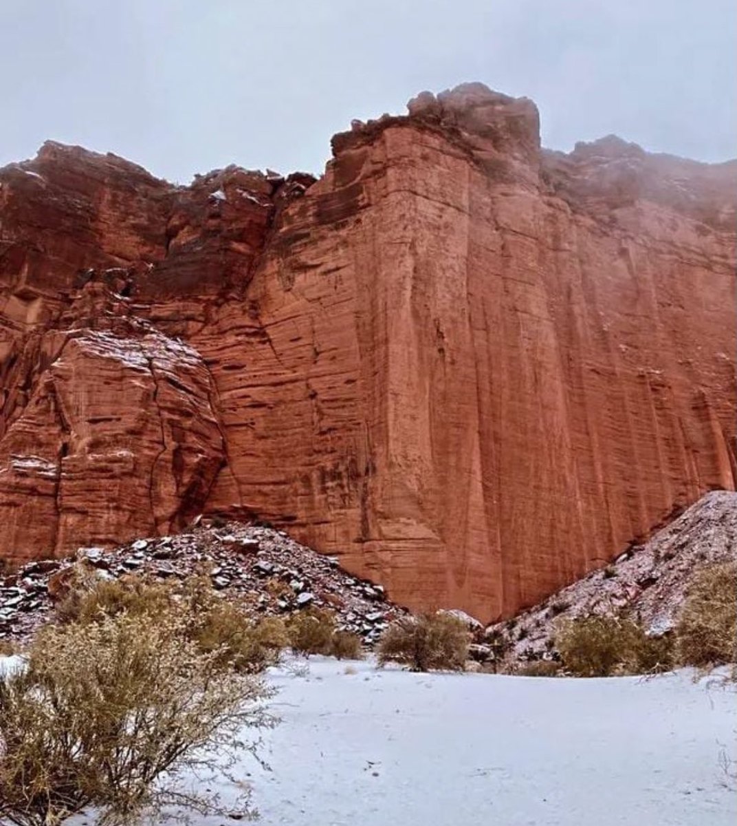 MinutoRiojaLR's tweet photo. 🟥 #LaRioja #Nieve #Invierno #PostalesDelFrío

❄️🗻 Postales únicas de nuestra provincia bajo el manto de la nieve. 
📍La Rioja, Argentina. https://t.co/GydQrgqdC8