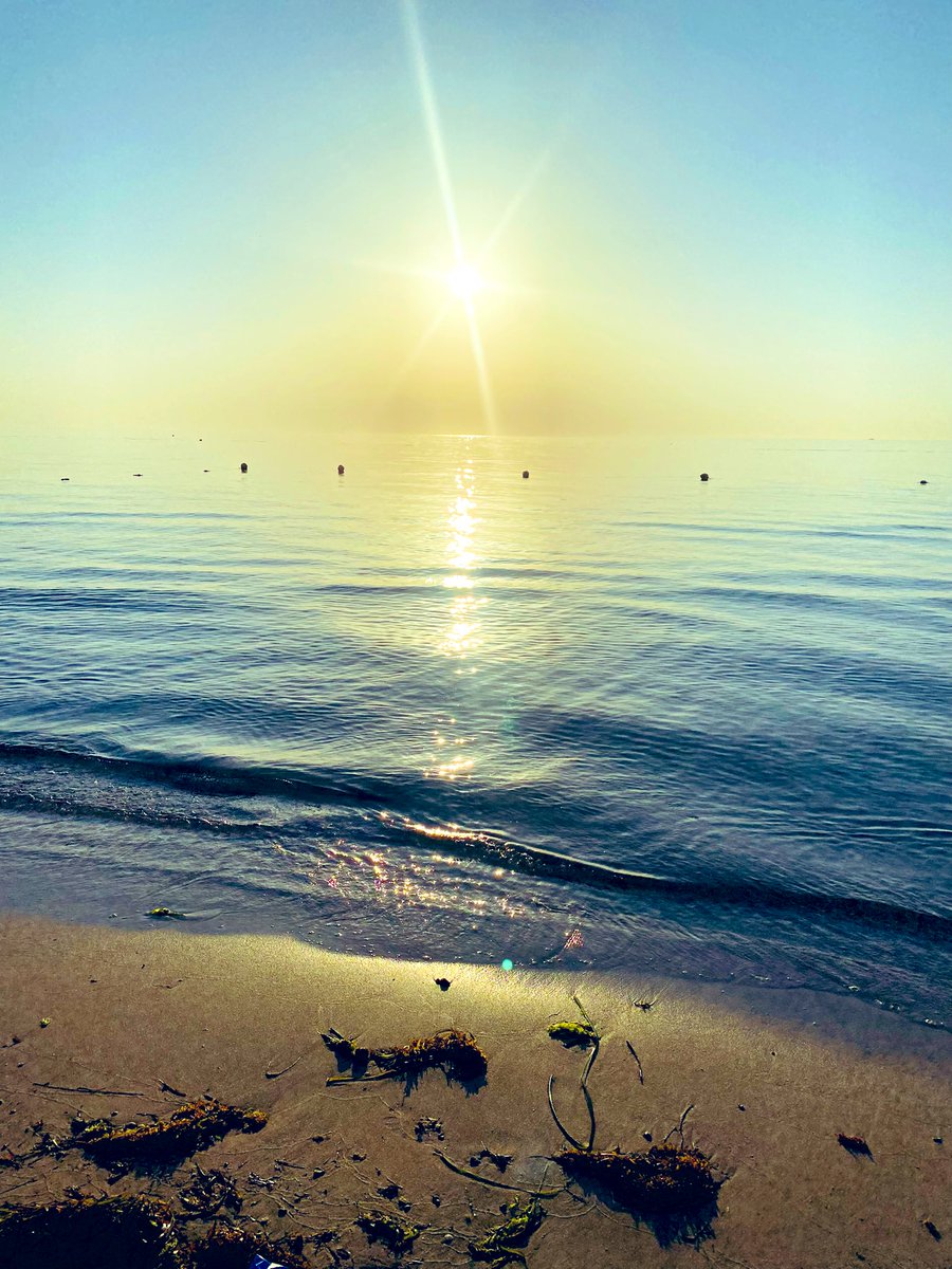 AndyPearson68's tweet image. Enjoying Tunisia 🇹🇳 not been for 18 years food has improved hugely 🧑‍🍳. 
Weather ☀️ not as extreme as 🇹🇷 &amp;amp; far better beaches 🏖️ do we have to come 🏡.  Stunning hotel 🏨 grounds 👨‍🌾 .