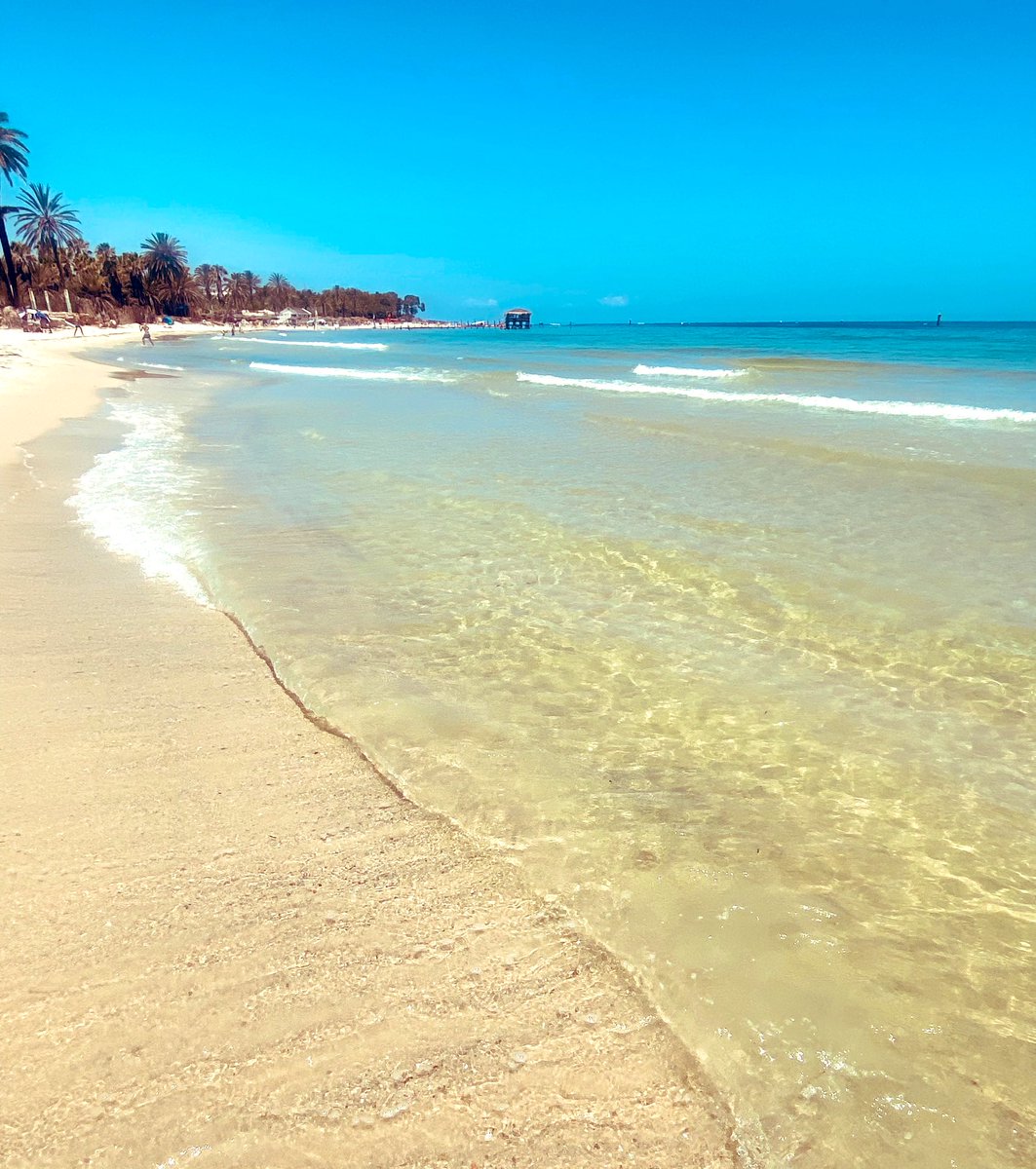 AndyPearson68's tweet image. Enjoying Tunisia 🇹🇳 not been for 18 years food has improved hugely 🧑‍🍳. 
Weather ☀️ not as extreme as 🇹🇷 &amp;amp; far better beaches 🏖️ do we have to come 🏡.  Stunning hotel 🏨 grounds 👨‍🌾 .