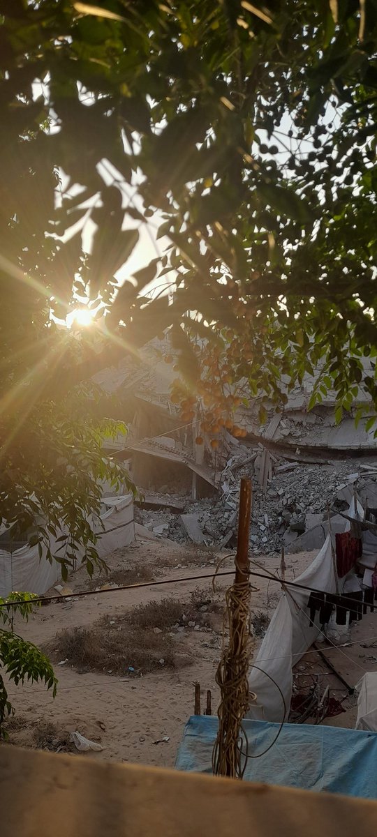 Please don’t turn off the last light 🙏😞💔..
Our home is rubble 💔
 My mother is tired, siblings hungry. 
I wake scared each day. 
Please don’t leave us alone.
 Your donation can save us, Every bit helps ..💔🙏🏻
Link⬇️⬇️
chuffed.org/project/136381…

<a href="/oliveegirl/">Olive 🌿</a> <a href="/lunalunabraga/">Bani</a>