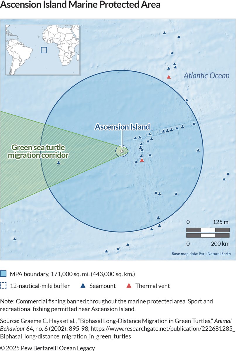 Pew Europe (@peweurope) on Twitter photo 🐢The Ascension Island hosts the second-largest nesting population of green sea turtles in the South Atlantic.
New <a href="/BritGeoSurvey/">British Geological Survey</a> maps can help researchers better understand and conserve the region’s waters and seabed. pewtrsts.org/4lfbxbT
📸 James Watt/NOAA 🐢The Ascension Island hosts the second-largest nesting population of green sea turtles in the South Atlantic.
New <a href="/BritGeoSurvey/">British Geological Survey</a> maps can help researchers better understand and conserve the region’s waters and seabed. pewtrsts.org/4lfbxbT
📸 James Watt/NOAA