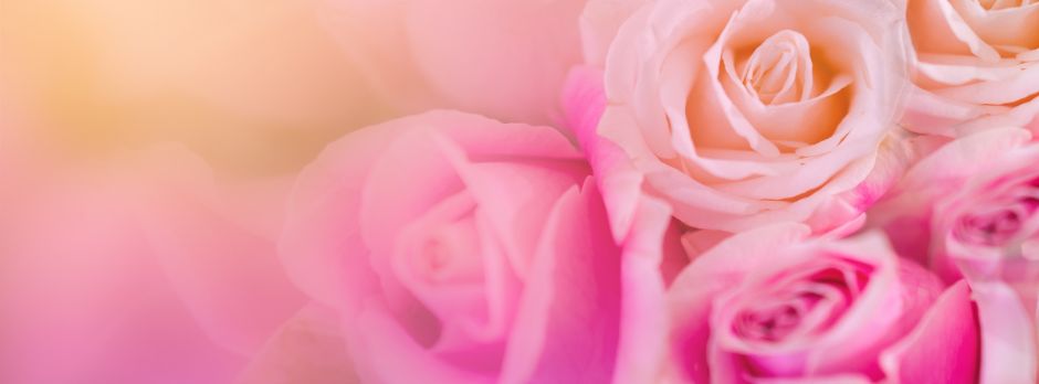 The latest issue of our newsUpdate is out now: mailchi.mp/cnhc.org.uk/ju…
If you don't subscribe to it already, you can sign-up on our website to receive it direct to your email inbox. Visit ow.ly/BAnT50W1KoT
#CNHC #AccreditedRegister #ComplementaryTherapy