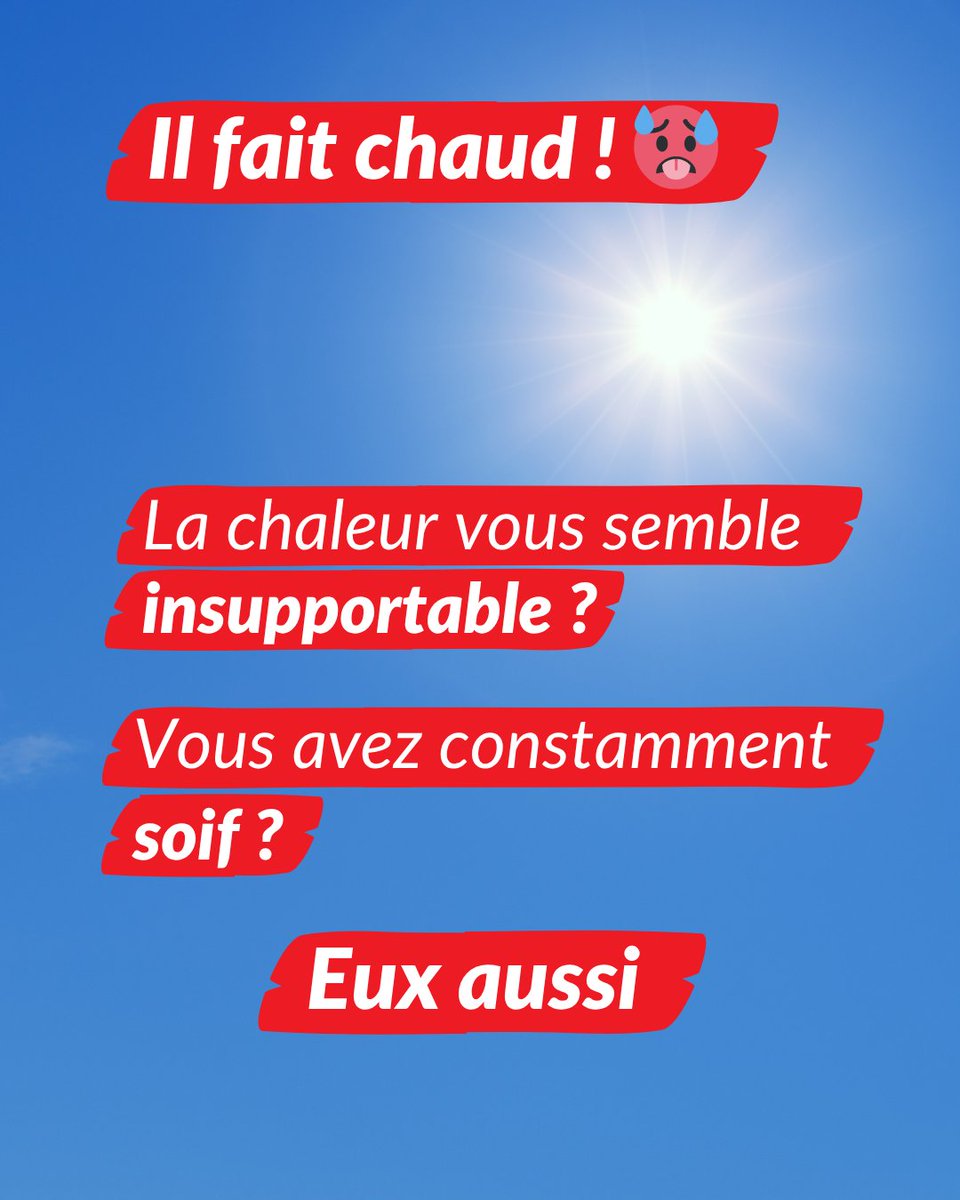 🌞 En canicule, chacun peut aider ! Offrir une bouteille d’eau à une personne sans-abri peut sauver une vie. Soyons solidaires et veillons sur les plus vulnérables ❤️ #sansabrisme #canicule