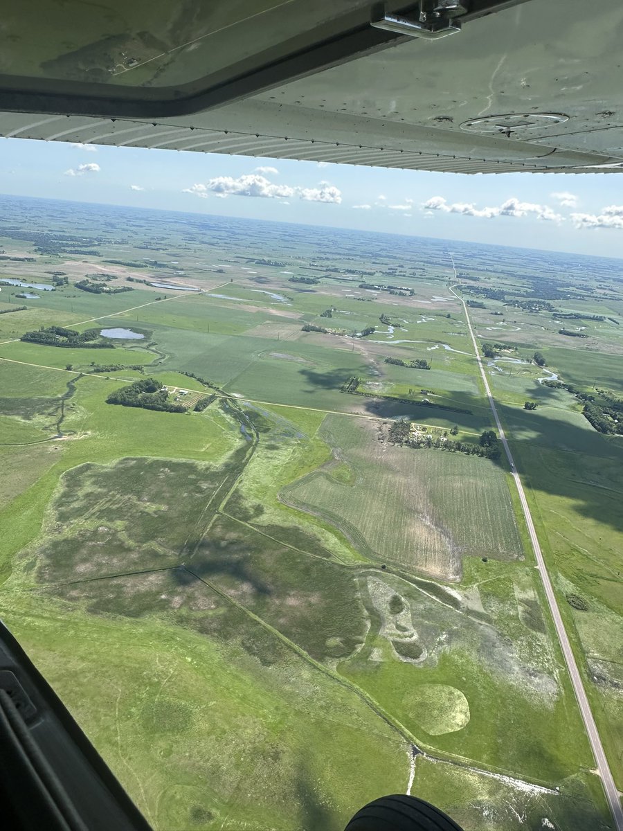 levikj's tweet image. Damage path of the Gary SD tornado from the air today, check out the swirly ground scaring
#sdwx @ReedTimmerUSA @NWSAberdeen #tornado #tornadodamage