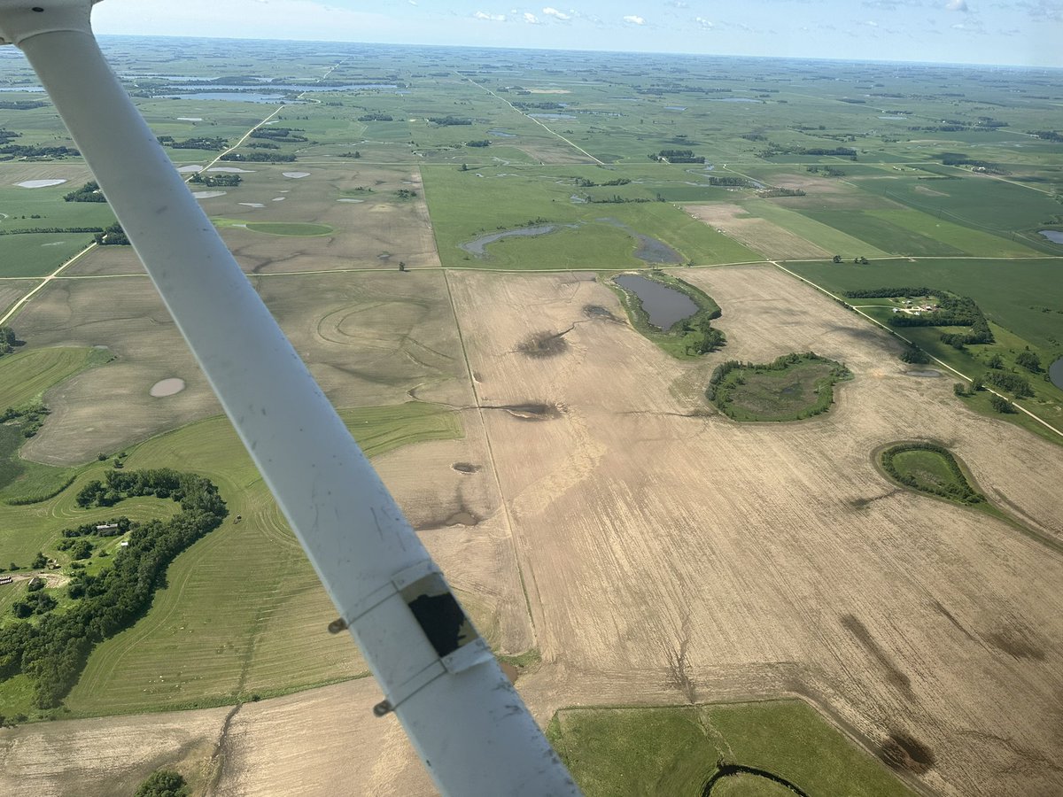 levikj's tweet image. Damage path of the Gary SD tornado from the air today, check out the swirly ground scaring
#sdwx @ReedTimmerUSA @NWSAberdeen #tornado #tornadodamage