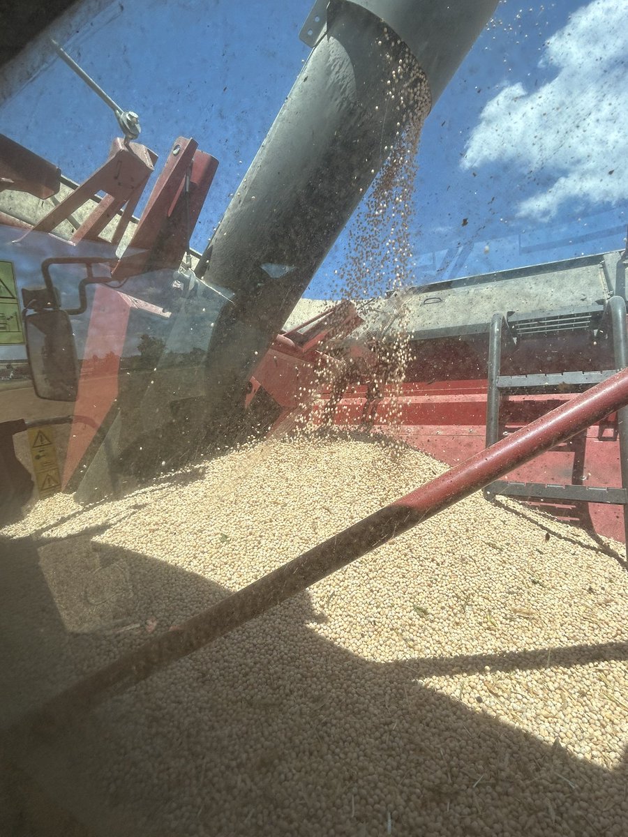 Olivier COSTE tweet media