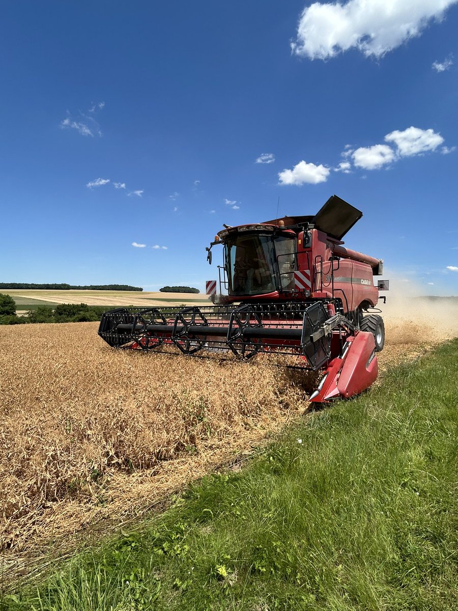 Olivier COSTE tweet media