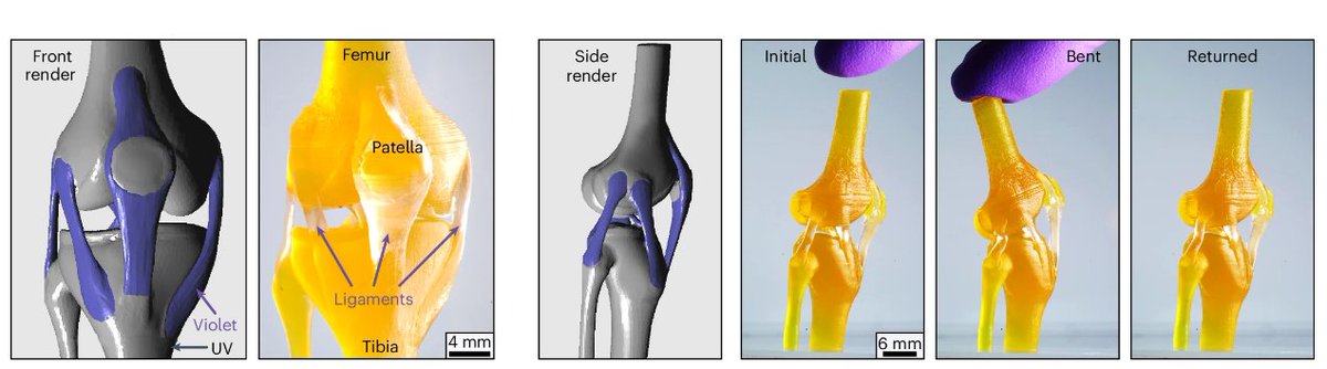 ZAPGroup (@zpagegroup) on Twitter photo 🚨New in
<a href="/NatureMaterials/">Nature Materials</a>
today, Wavelength-selective 3D printing with hybrid epoxy–acrylate resins enables ultrafast, high-res multimaterial parts! Big congratulations to all involved! Give it a read: rdcu.be/et5T9 ⚡️ 🚨New in
<a href="/NatureMaterials/">Nature Materials</a>
today, Wavelength-selective 3D printing with hybrid epoxy–acrylate resins enables ultrafast, high-res multimaterial parts! Big congratulations to all involved! Give it a read: rdcu.be/et5T9 ⚡️