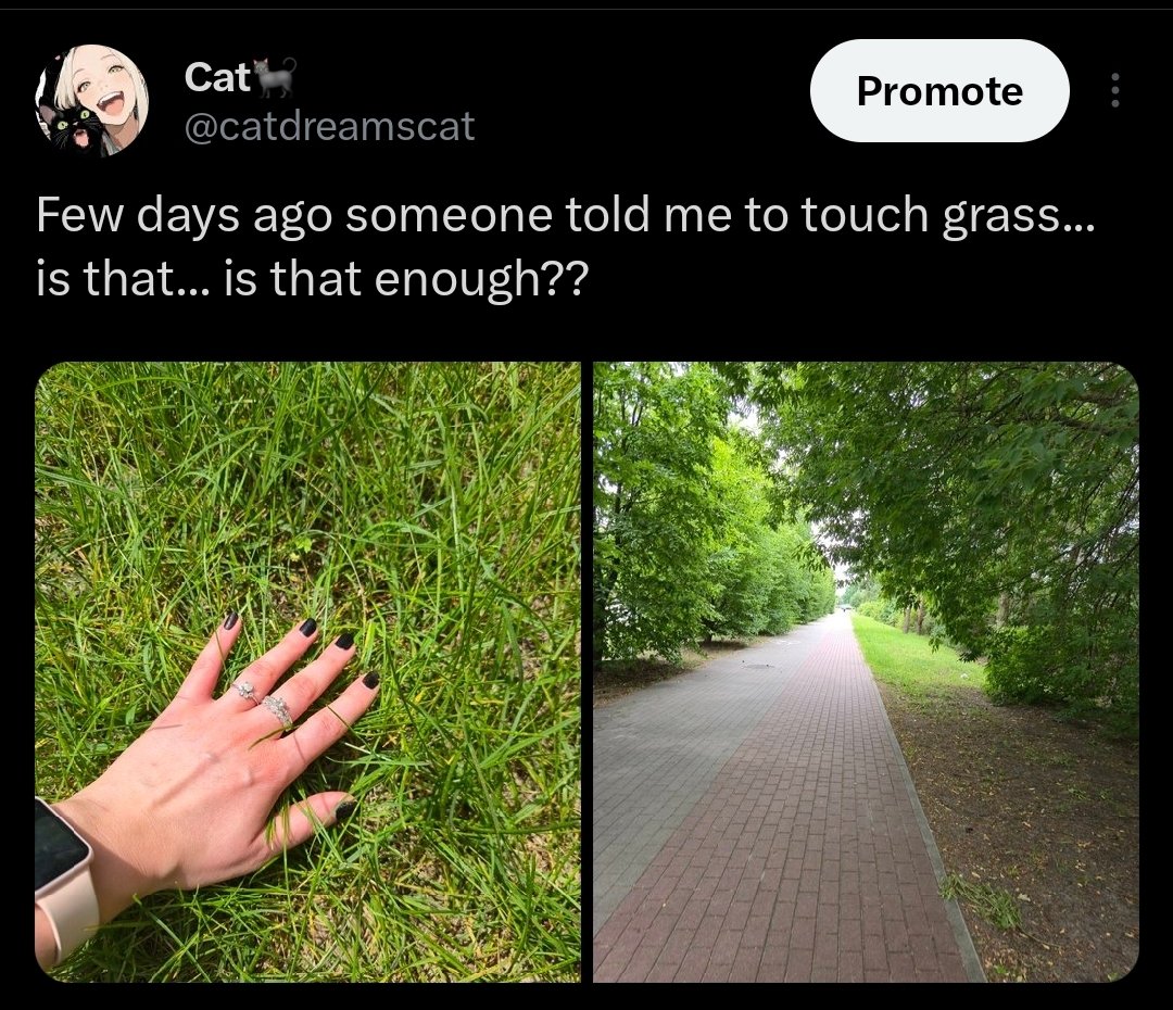 catdreamscat's tweet photo. This post... damn 😂 https://t.co/kHPKCv3nM5