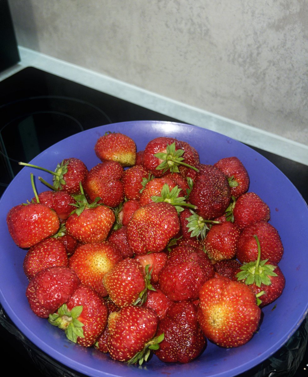 Планирую съесть тазик домашней клубники с огорода, по хуйне не беспокоить