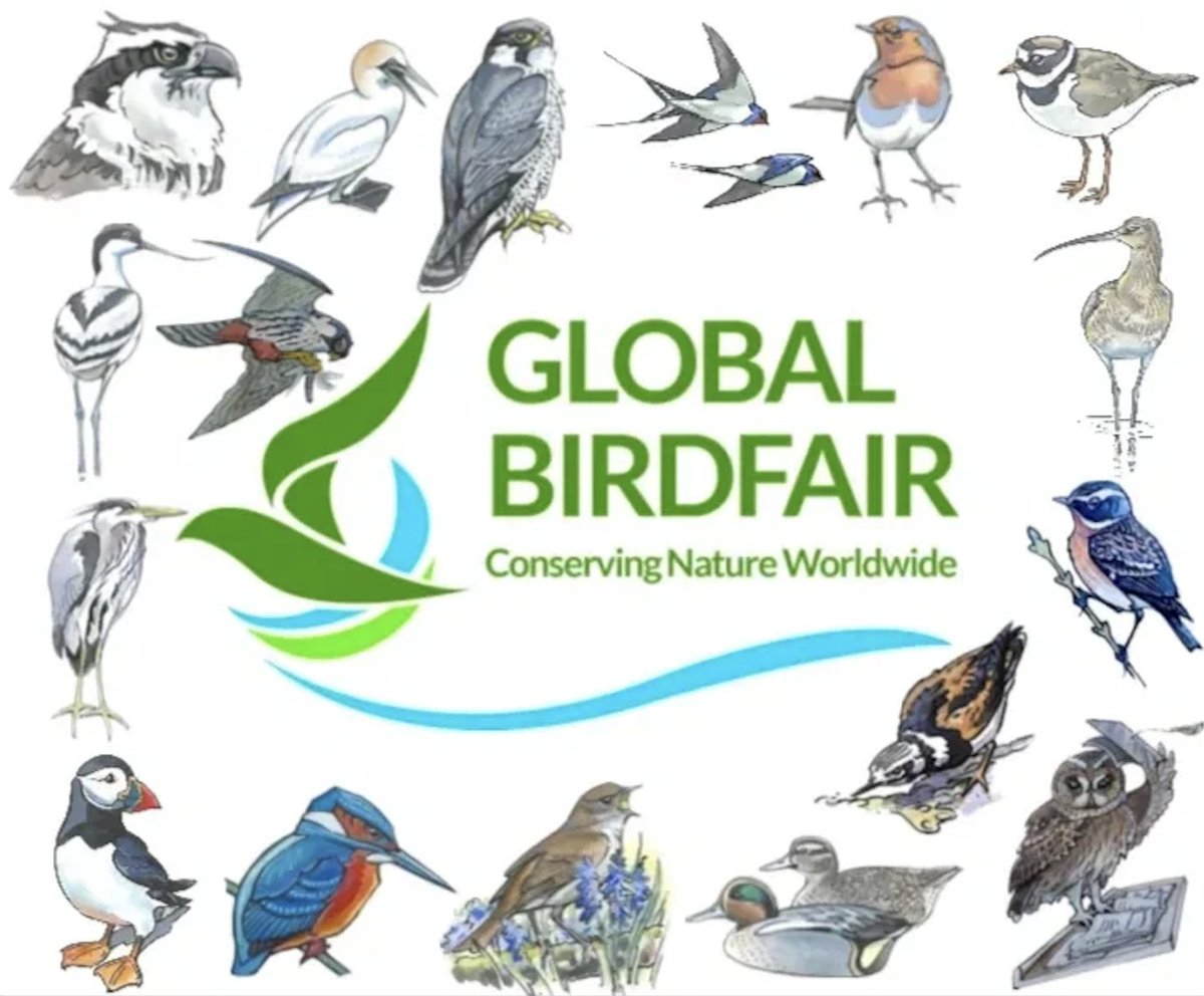 🦅 Excited for <a href="/GlobalBirdfair/">Global Birdfair</a> 2025? 

From Osprey sightings to expert talks, gear deals, &amp; real seabird conservation - this is THE birding event of the year! 🤩

📍Rutland Water | 📆 11–13 July
🎟️ Why you should go: bird-watchers.com/global-birdfai…

#BirdwatchingUK #NatureFestival