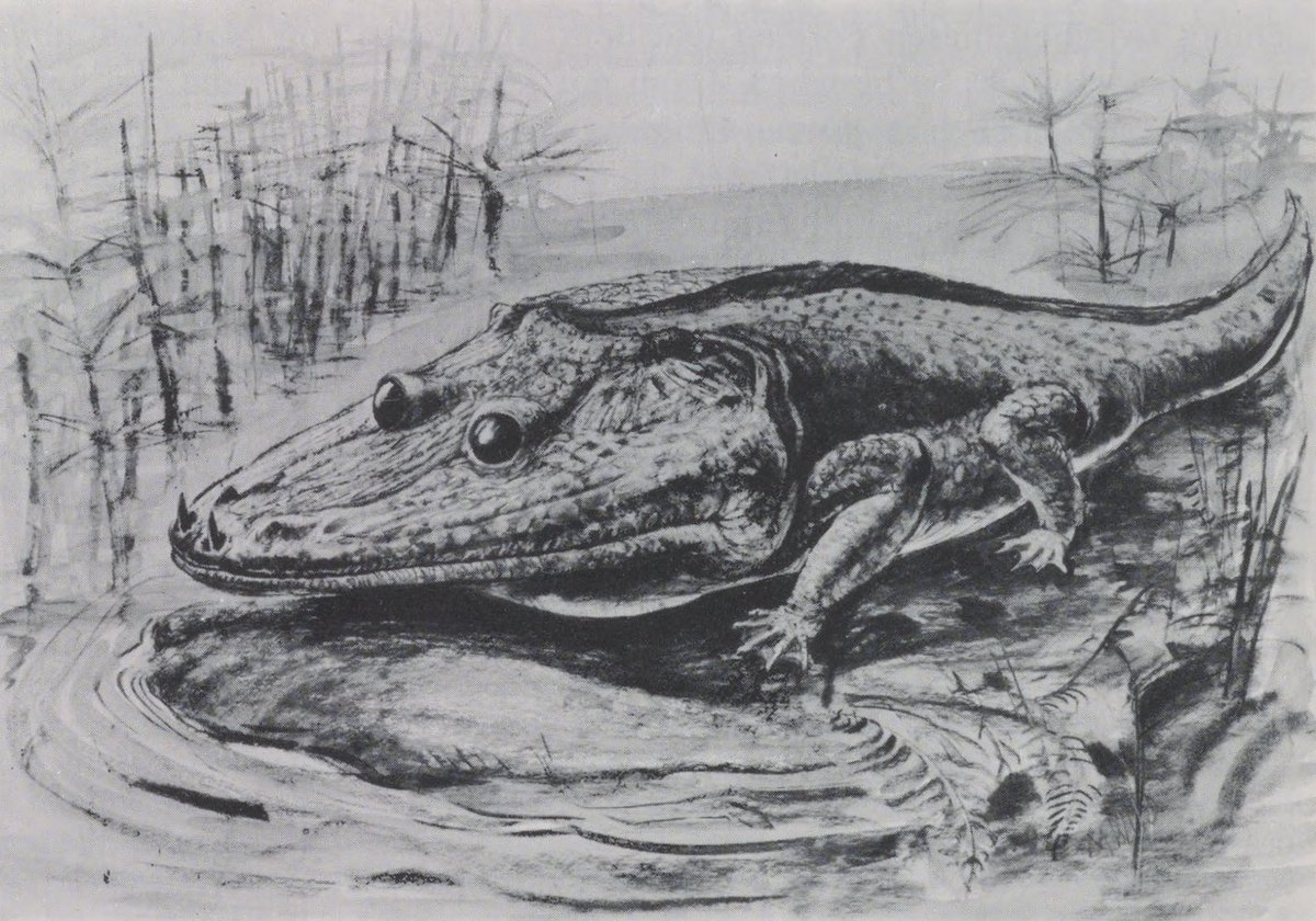 Maxwell Miles Candlen tweet media