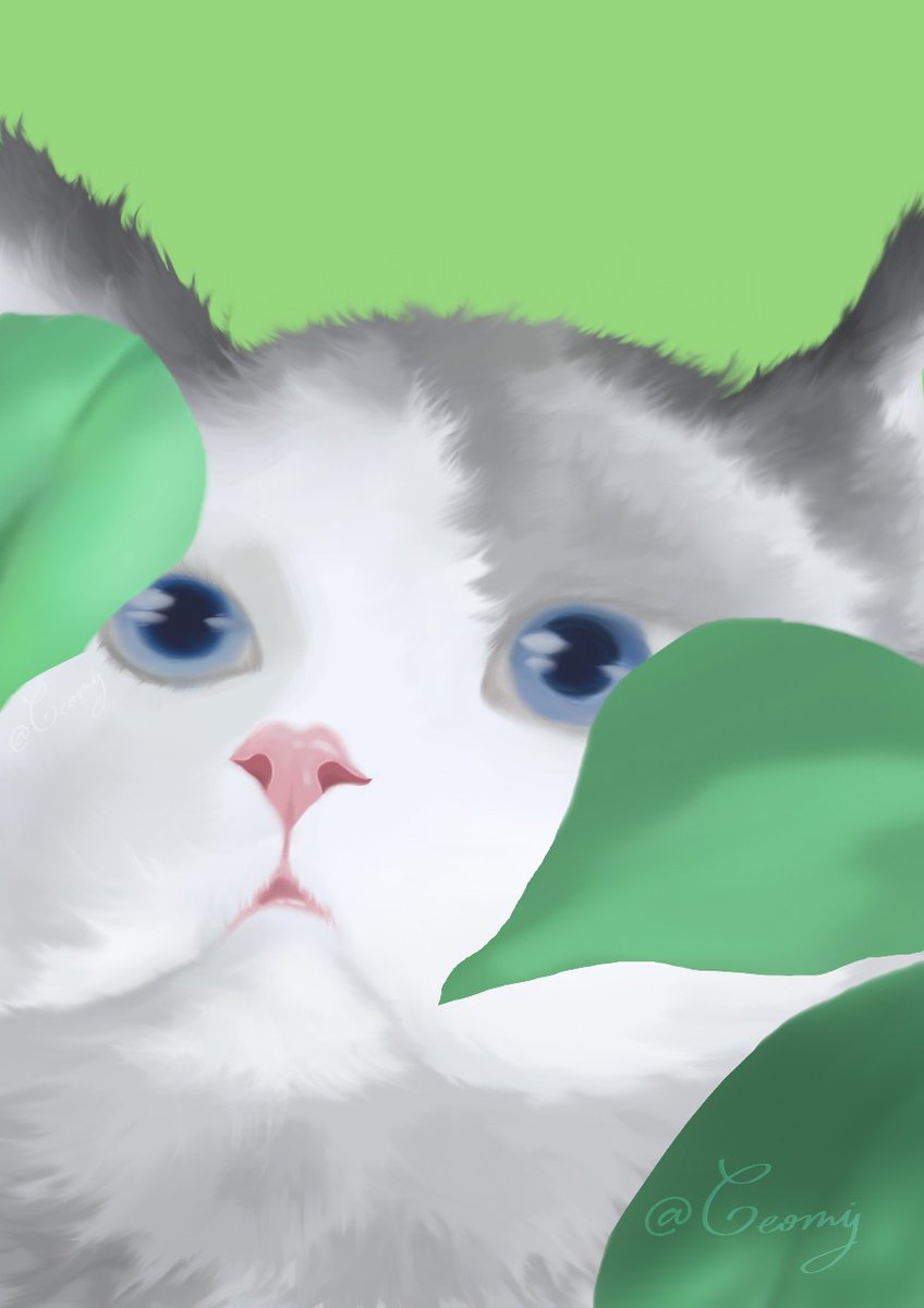 GeomiArtt's tweet photo. Retrato de mascota 😺✨

#drawing #retrato #retratodemascotas #gato #dibujodigital #ilustración #ilustraciondigital https://t.co/TqsoA5acQG