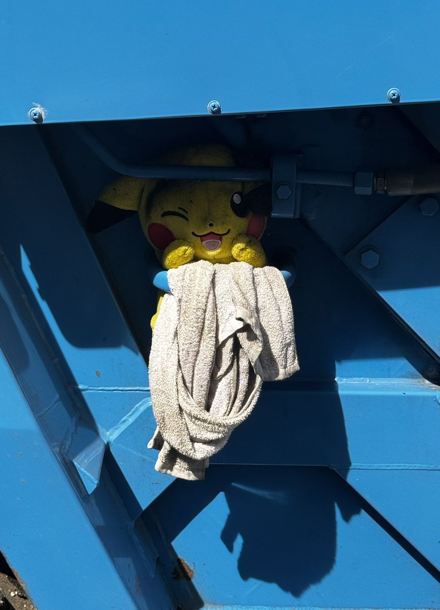 ゴミ収集車で命を拾われ頑張ってるピカチュウ見つけた