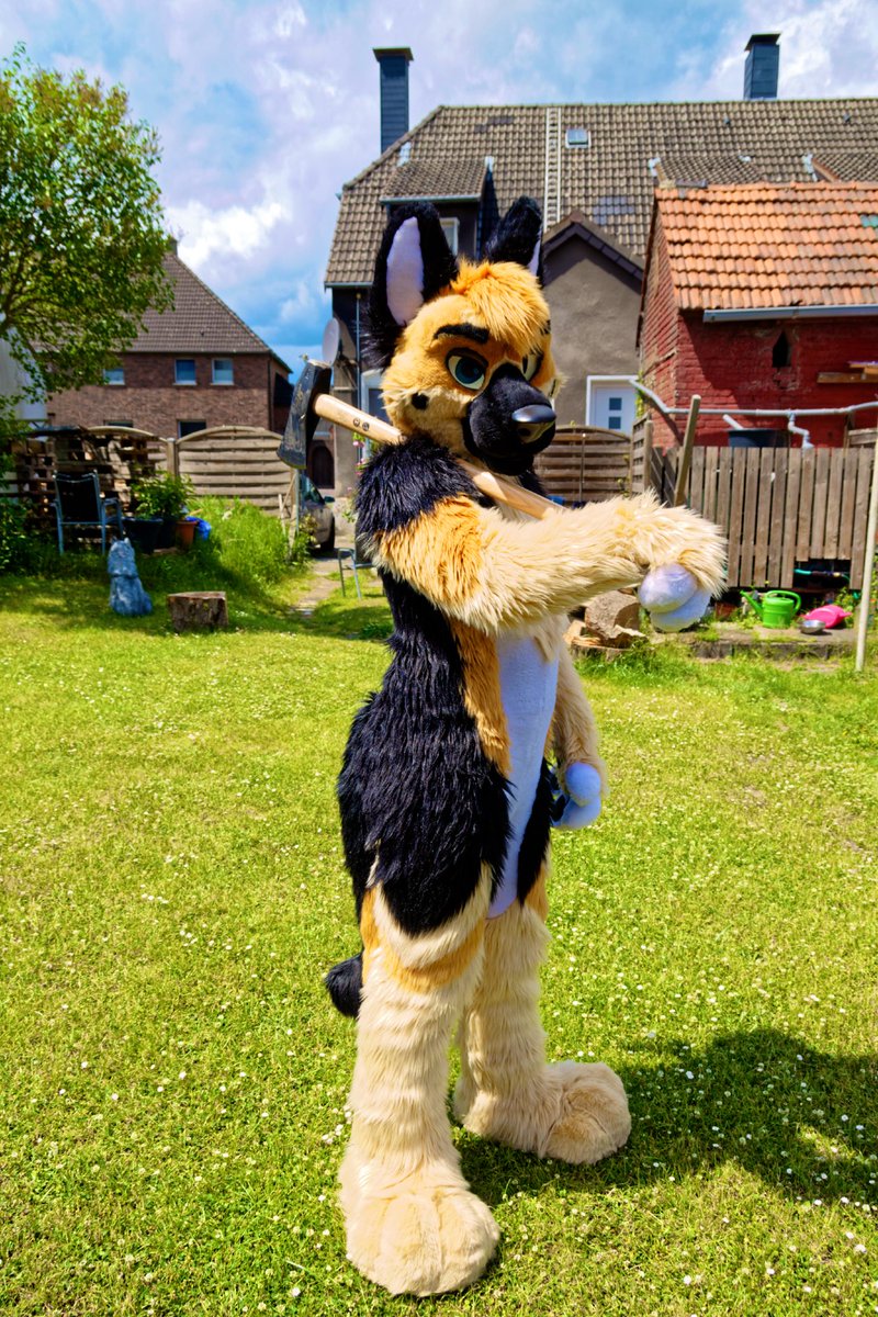 Himaru_Shepherd's tweet image. Sheppy after watching too much Walking dead π π
#MFYMonday
πΈ@weiser_melanie
