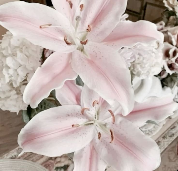 𝗦𝗢𝗥𝗧𝗘𝗢 𝗣𝗢𝗥 𝗖𝗨𝗘𝗡𝗧𝗔 𝗦𝗣𝗢𝗧𝗜𝗙𝗬 
by; 🧸 

⭒seguirnos con notis on 
⭒fv y rt 
⭒fv y rt al post de abajo 
⭒comentar