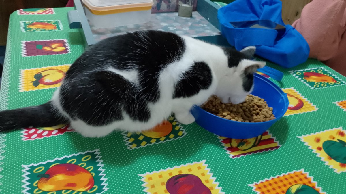 #nuestratarde desde Paraná Entre Ríos, la loquita mala también tiene su almuerzo