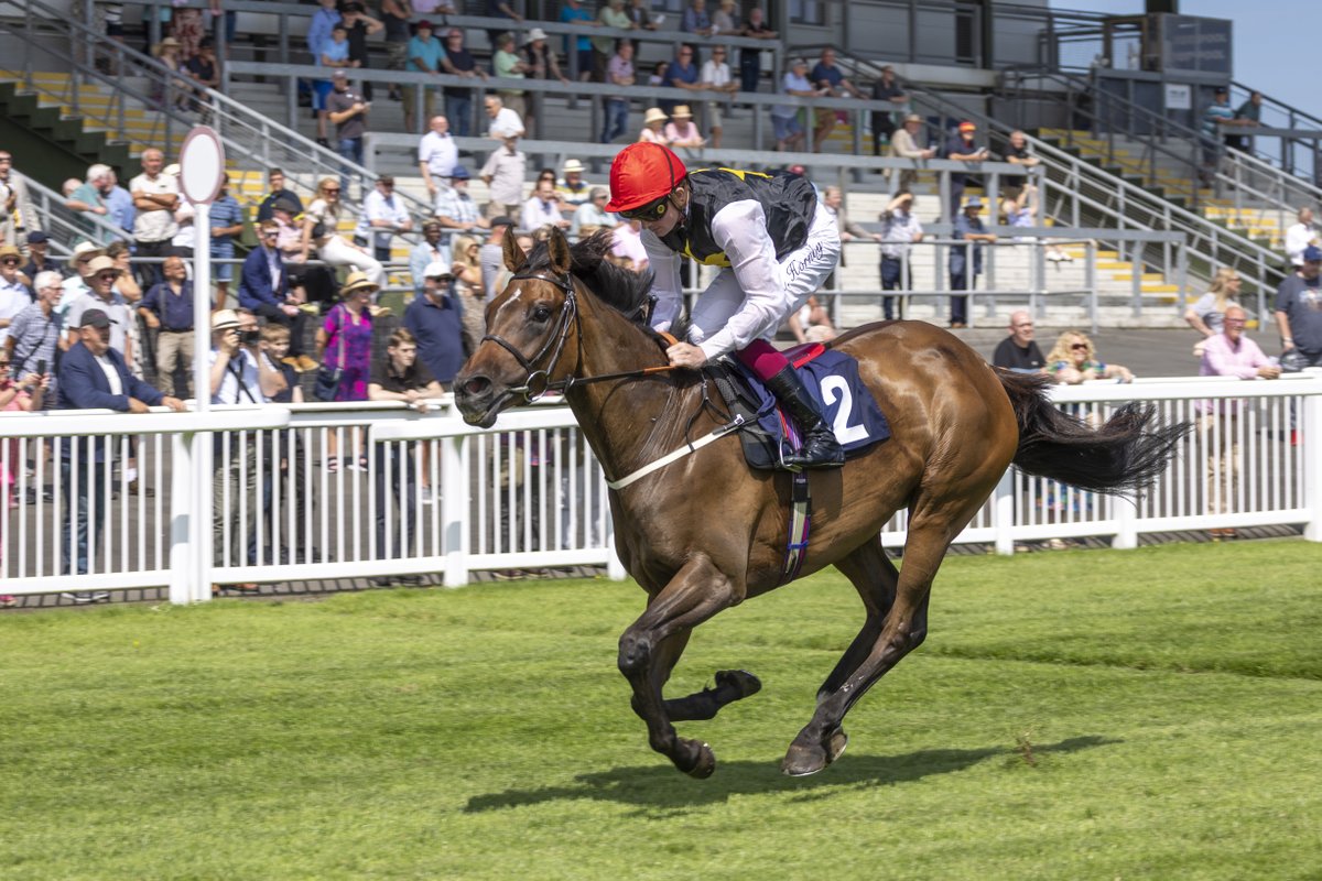 Ffos Las Racecourse (@ffoslasrc) on Twitter photo Nivelle's Magic provided jockey <a href="/rob_hornby18/">Robert Hornby</a> with a second winner of the day - the six-year-old, trained by Dan Horsford, took our third race. Nivelle's Magic provided jockey <a href="/rob_hornby18/">Robert Hornby</a> with a second winner of the day - the six-year-old, trained by Dan Horsford, took our third race.