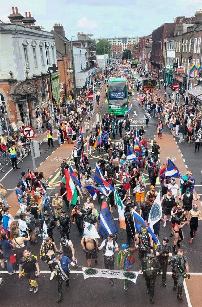 Pups & Handlers Of Ireland tweet media