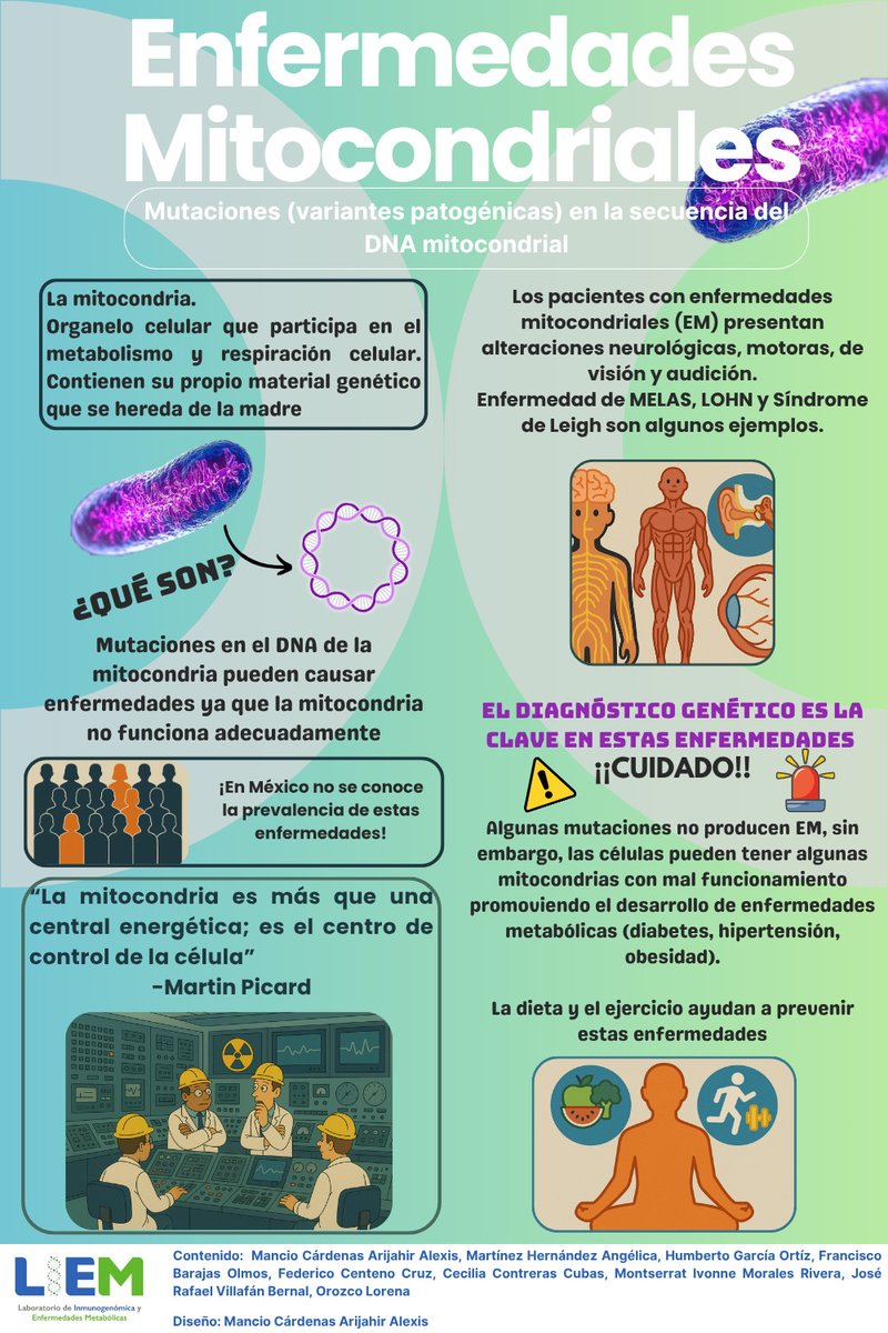 *Las enfermedades mitocondriales, aunque raras, pueden tener un impacto devastador y multisistémico.*
Les compartimos un trabajo del grupo en el que evaluamos genomas mitocondriales. DOI: 10.1371/journal.pone.0277771