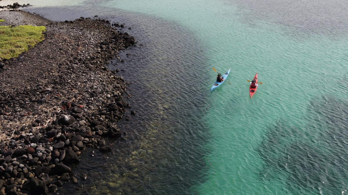 300 Years Old and Still Undiscovered: Loreto Baja California Sur is home to the National Marine Park, a UNESCO World Heritage site with 800+ marine species, Blue Whale Watching, ancient cave paintings &amp; picturesque mountains to explore. Visit loreto.visitbajasur.travel