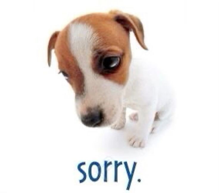 I didn’t kiss enough girls during pride month do yall still fw me :(